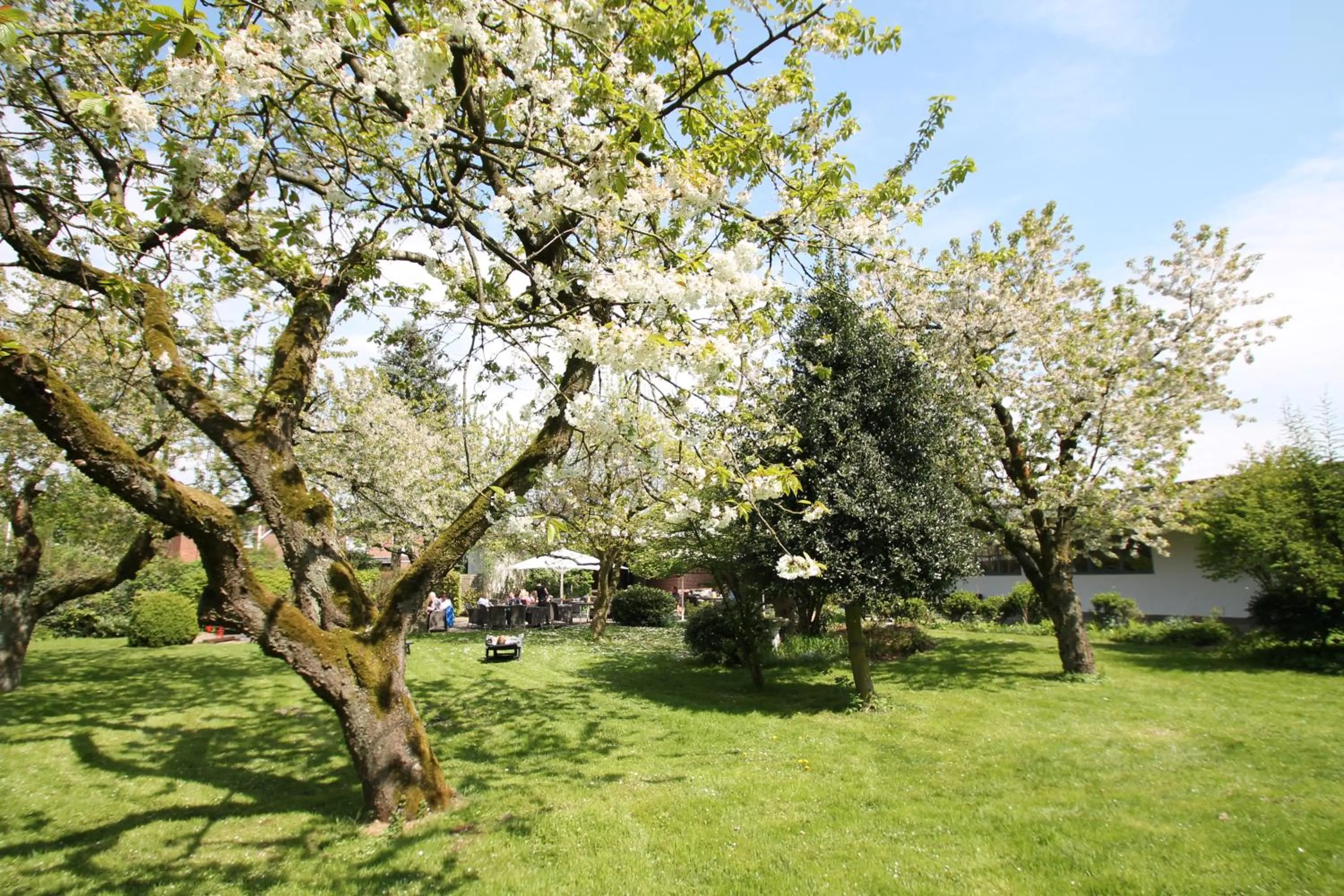 Garden in Bundt's Hotel & Gartenrestaurant