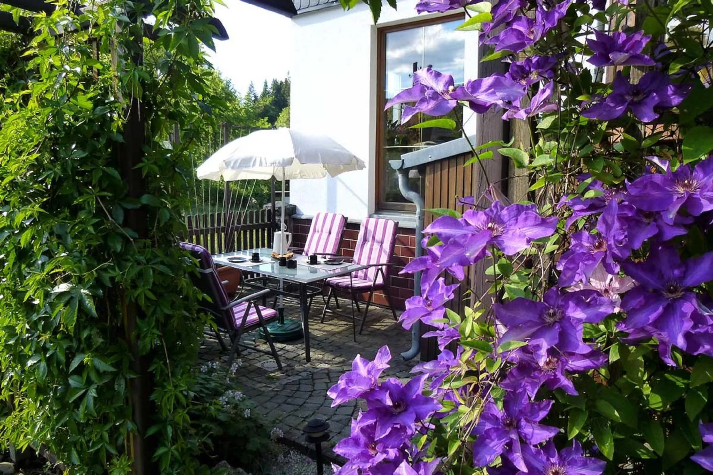 Balcony/Terrace in Hammerfinken-Nest