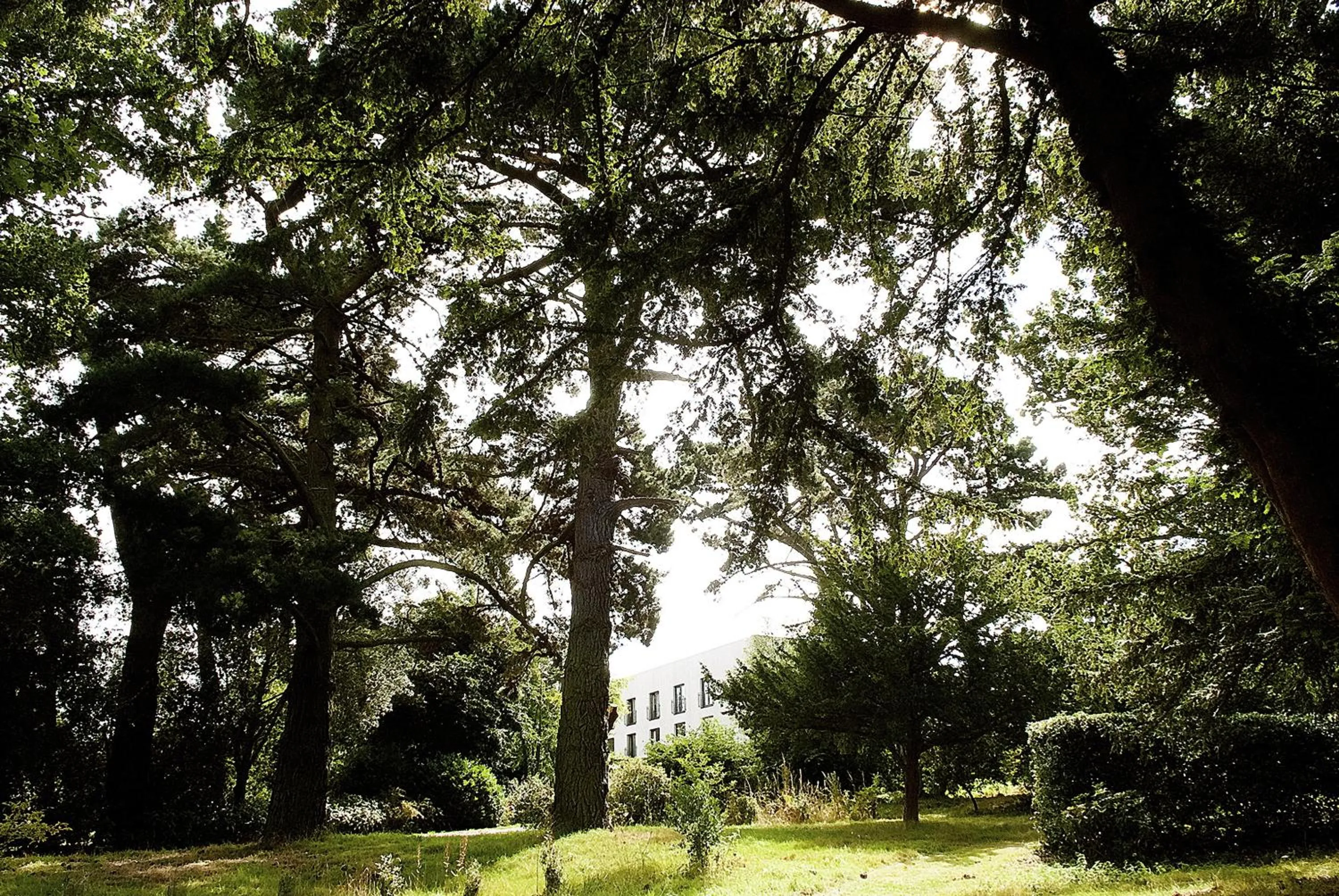 Property building in Lifehouse Spa And Hotel