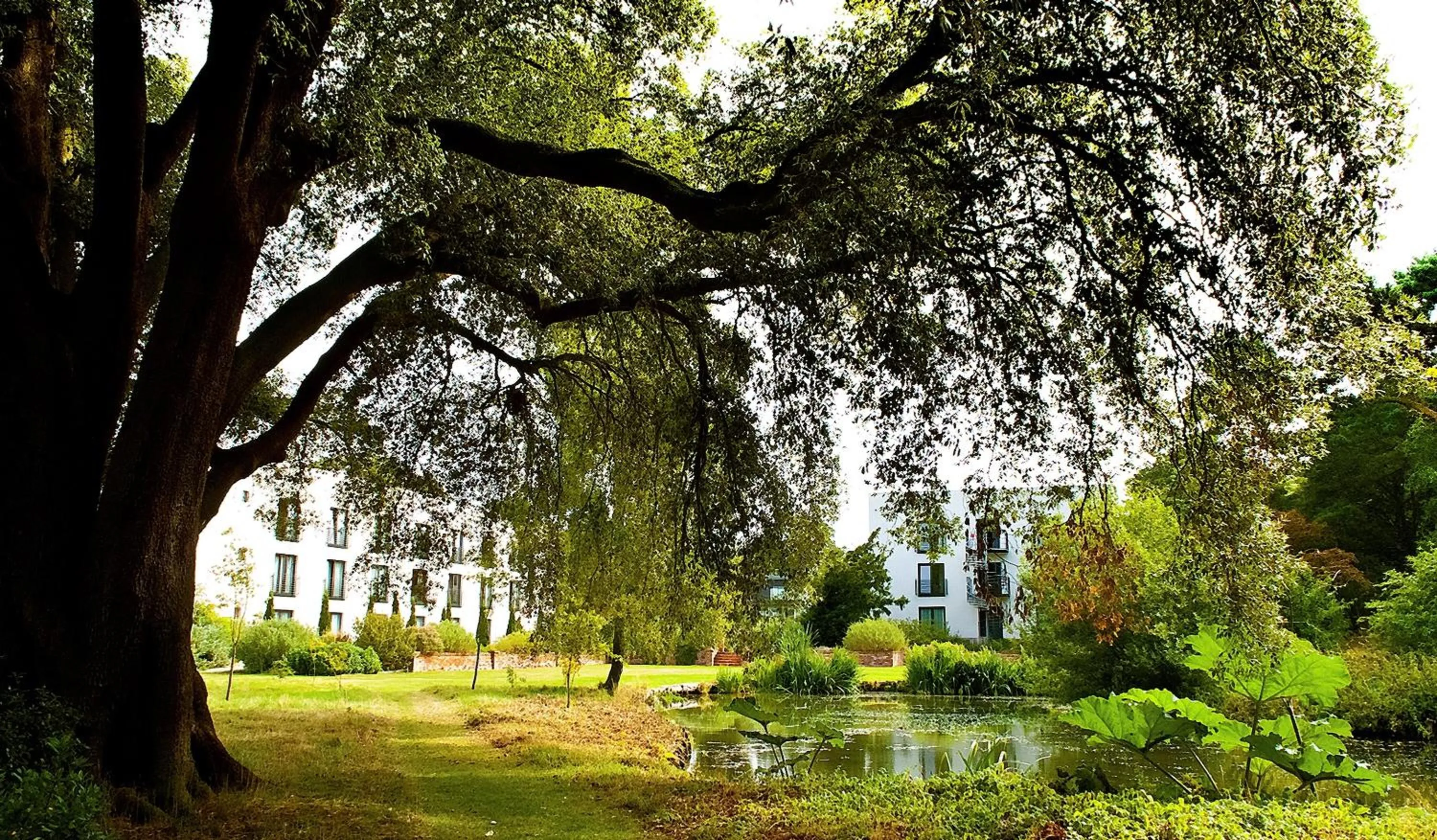 Property building in Lifehouse Spa And Hotel