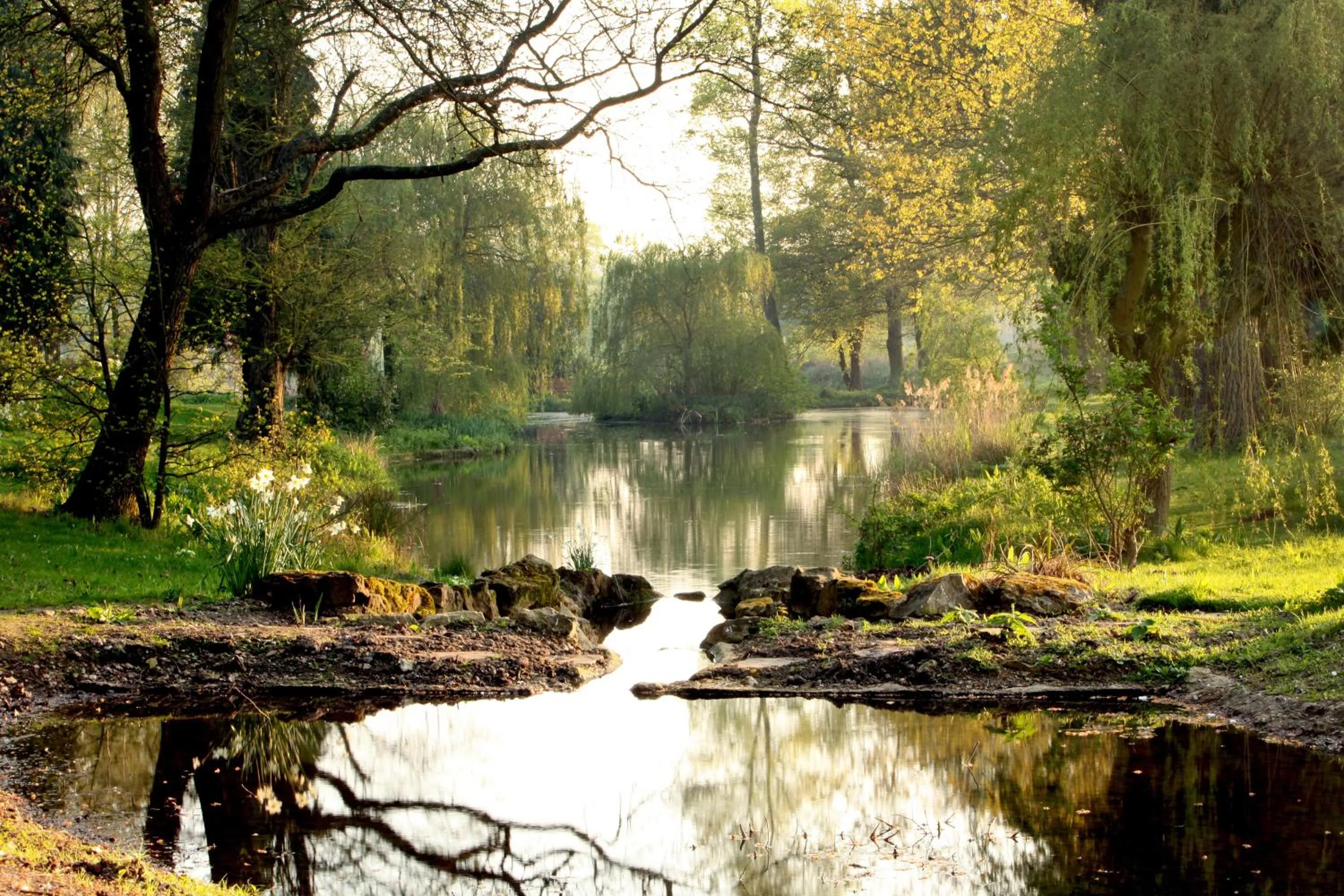 Spring in Lifehouse Spa And Hotel