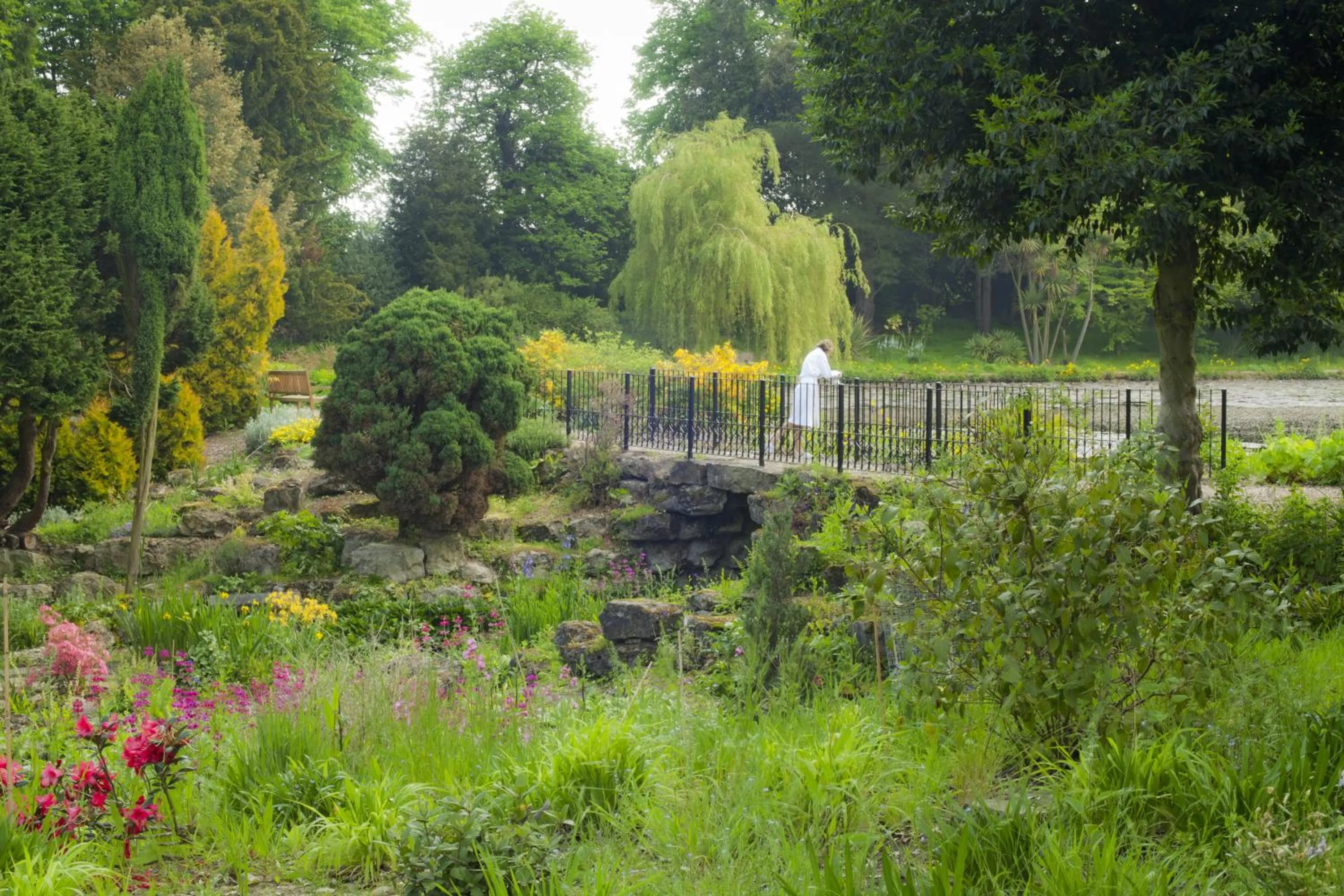 Natural landscape in Lifehouse Spa And Hotel