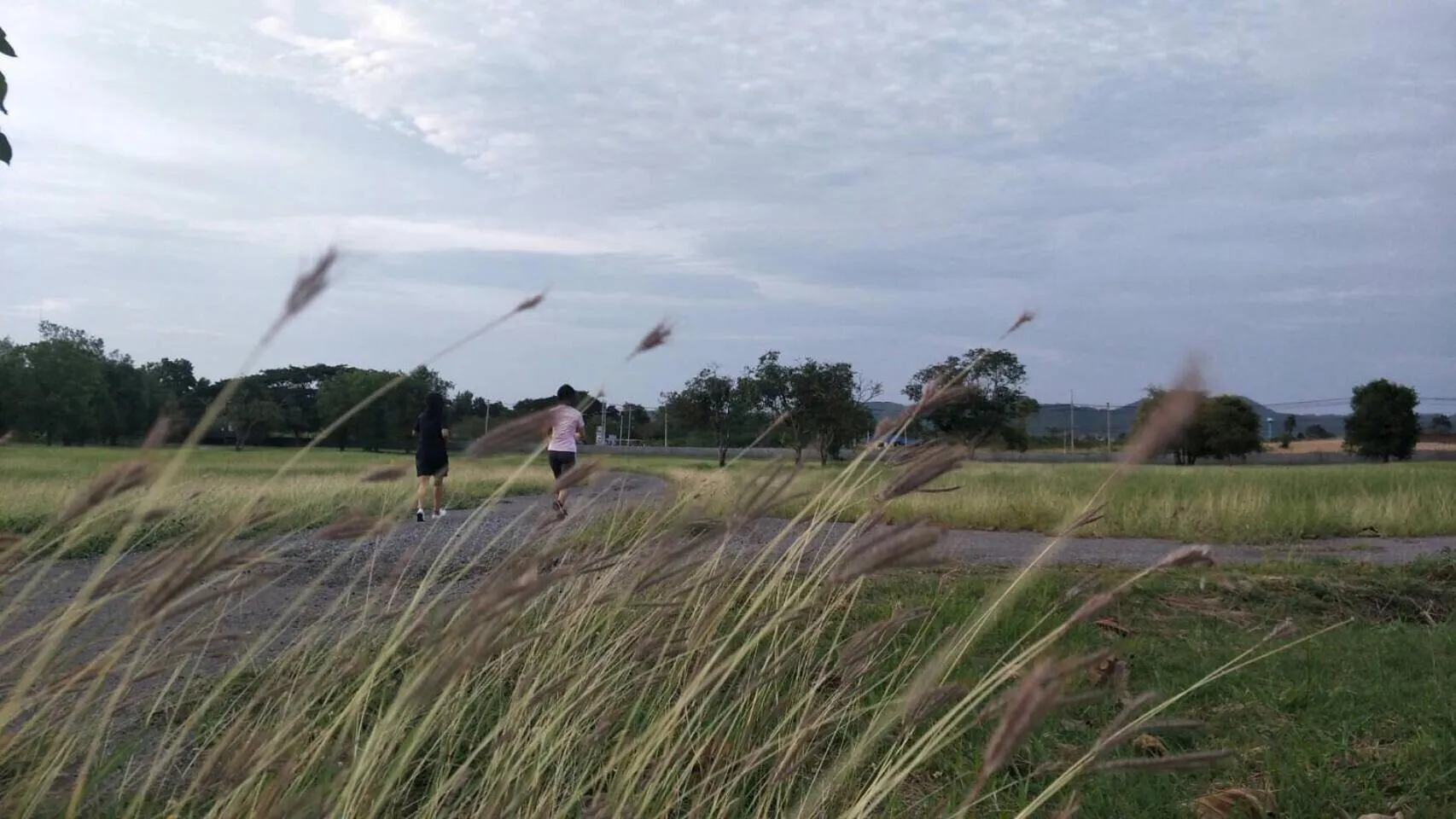 Natural landscape in Annie Villa at Khao Yai