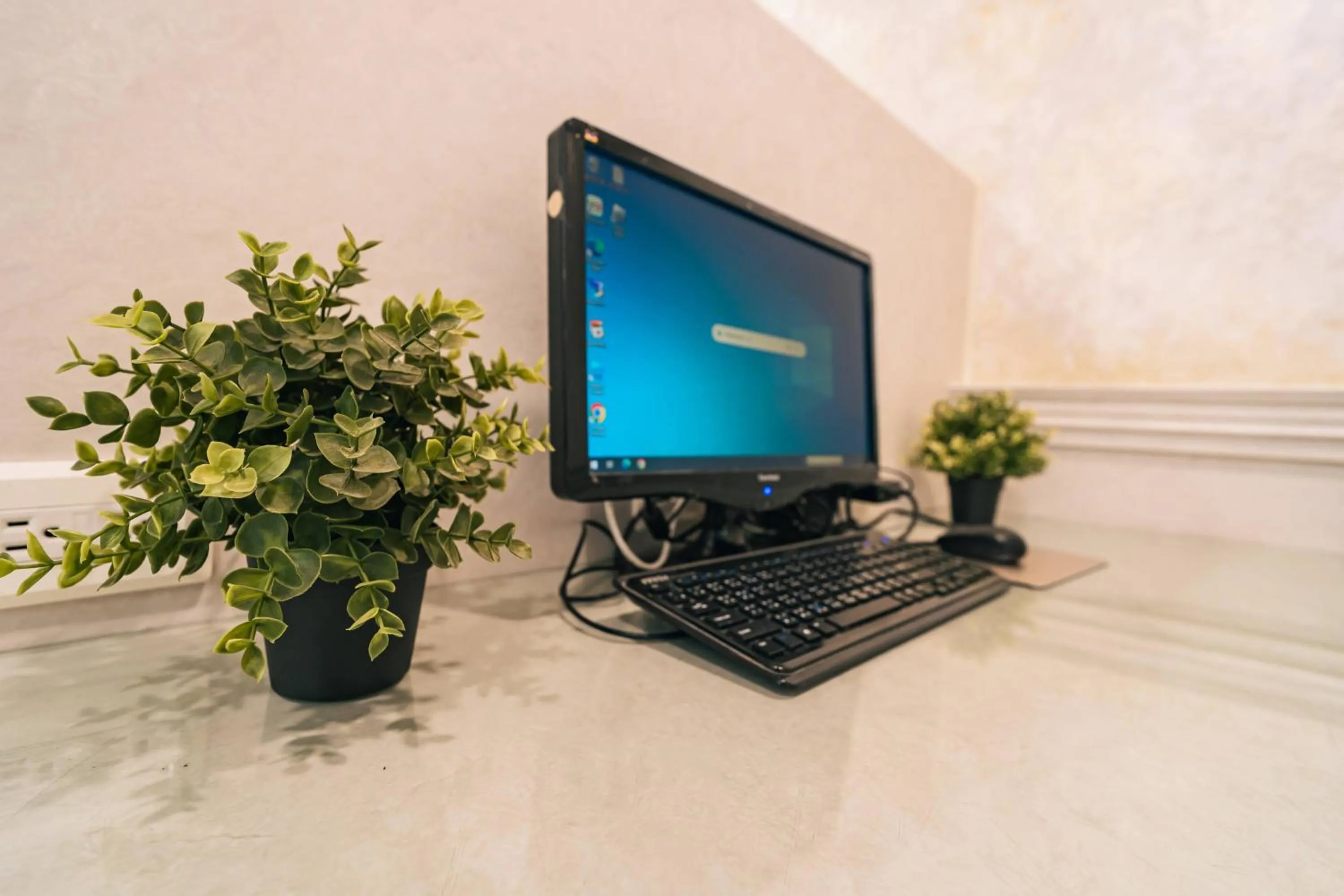 Business facilities in Hotel Puri