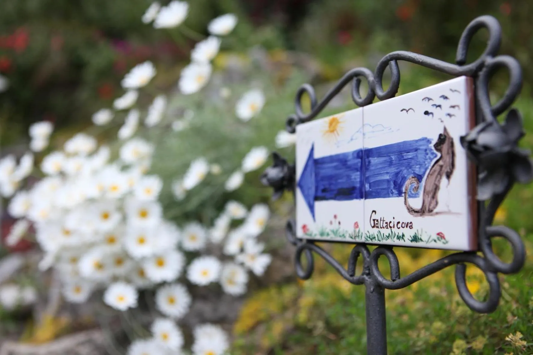 Property logo or sign in B&B Gattacicova