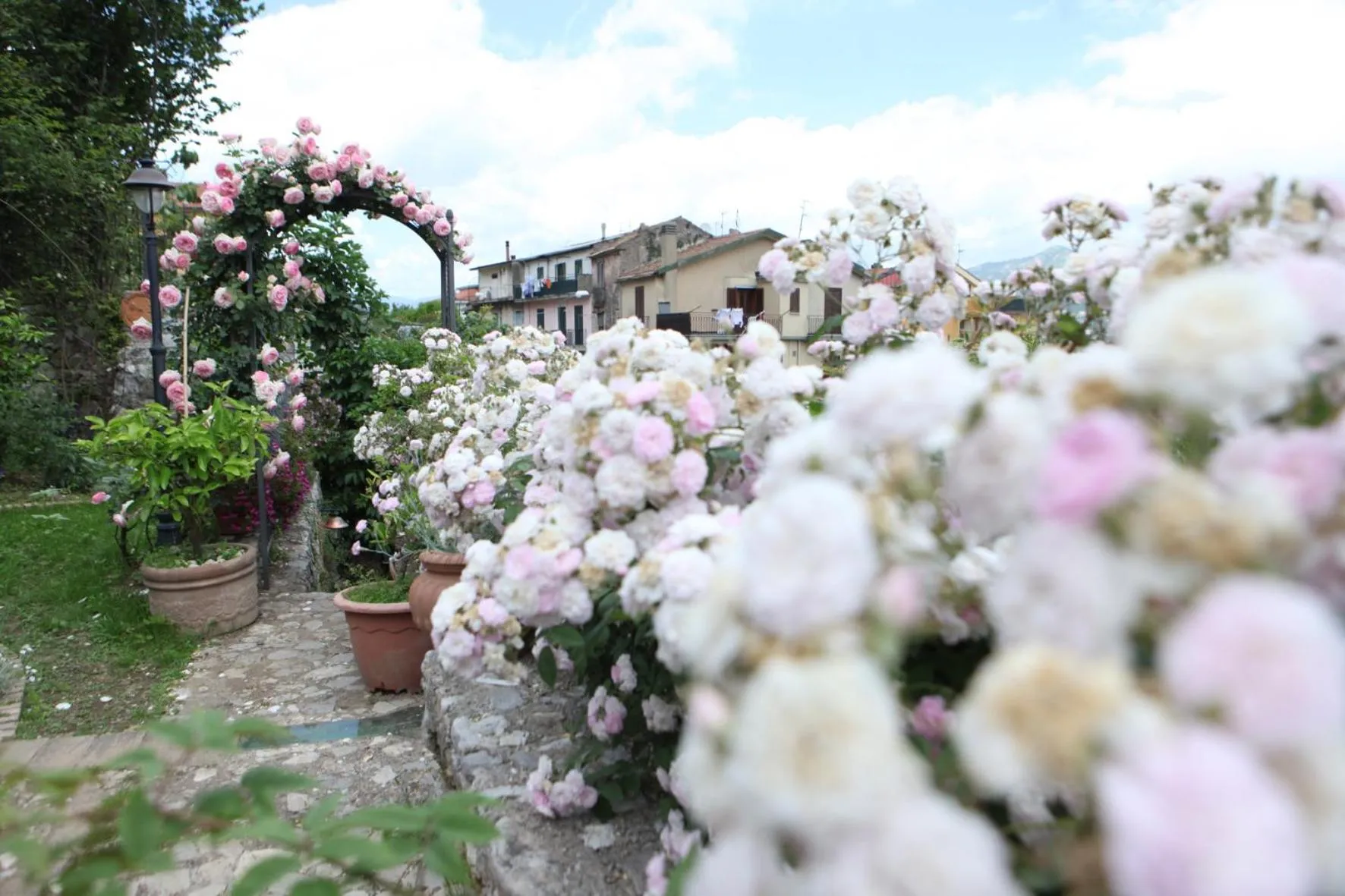 Garden in B&B Gattacicova