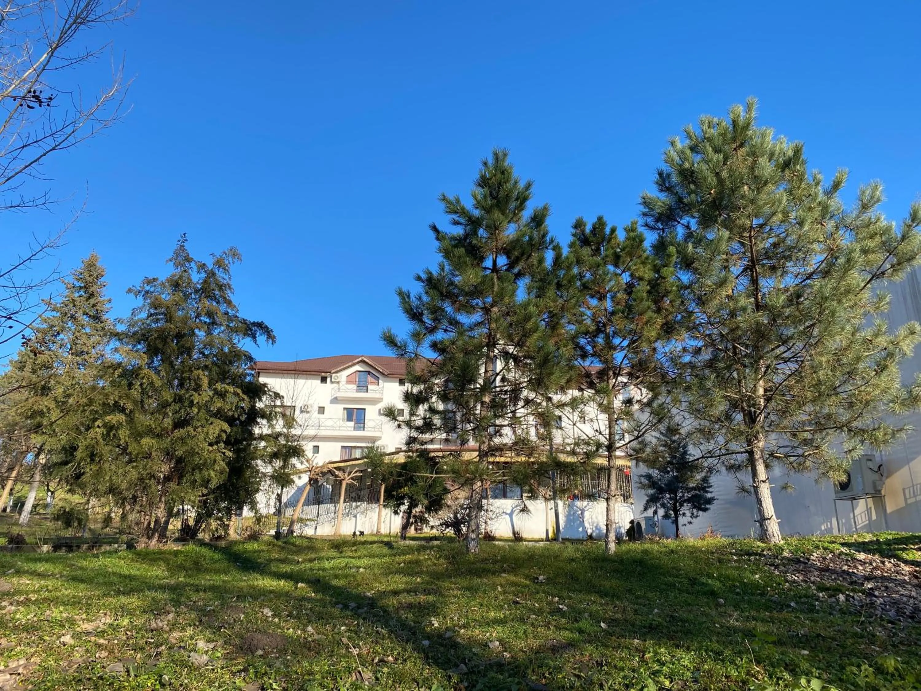 Natural landscape in Resort Plaza Lake