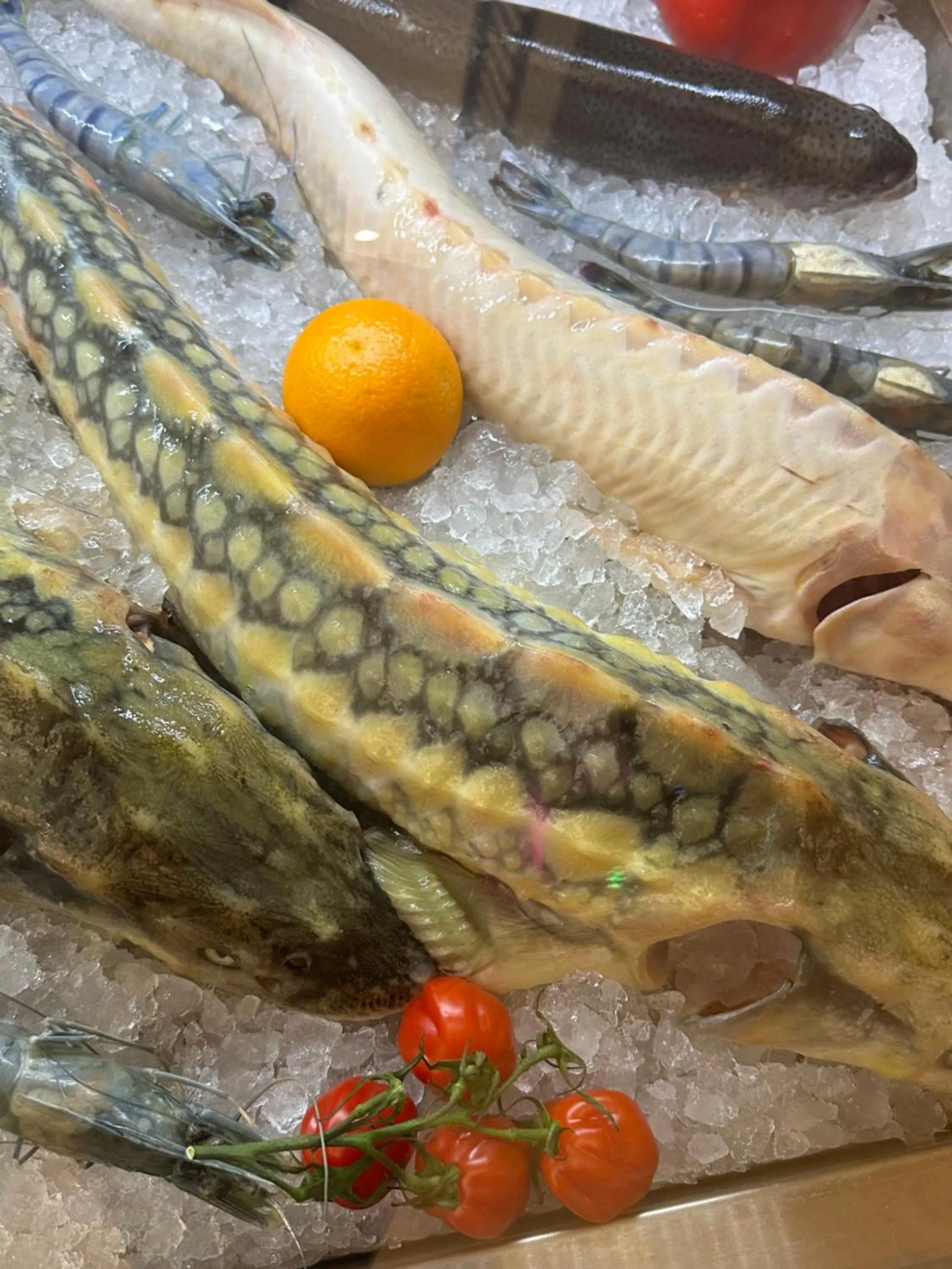 Food and drinks in Resort Plaza Lake