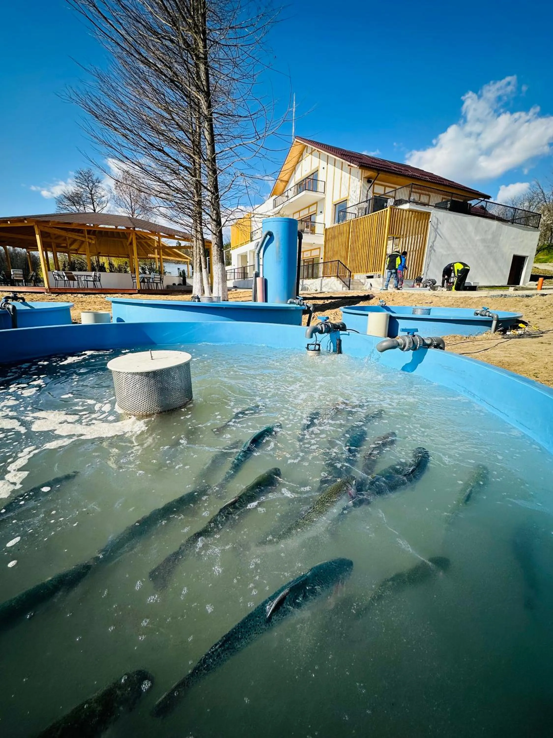 Property building in Resort Plaza Lake