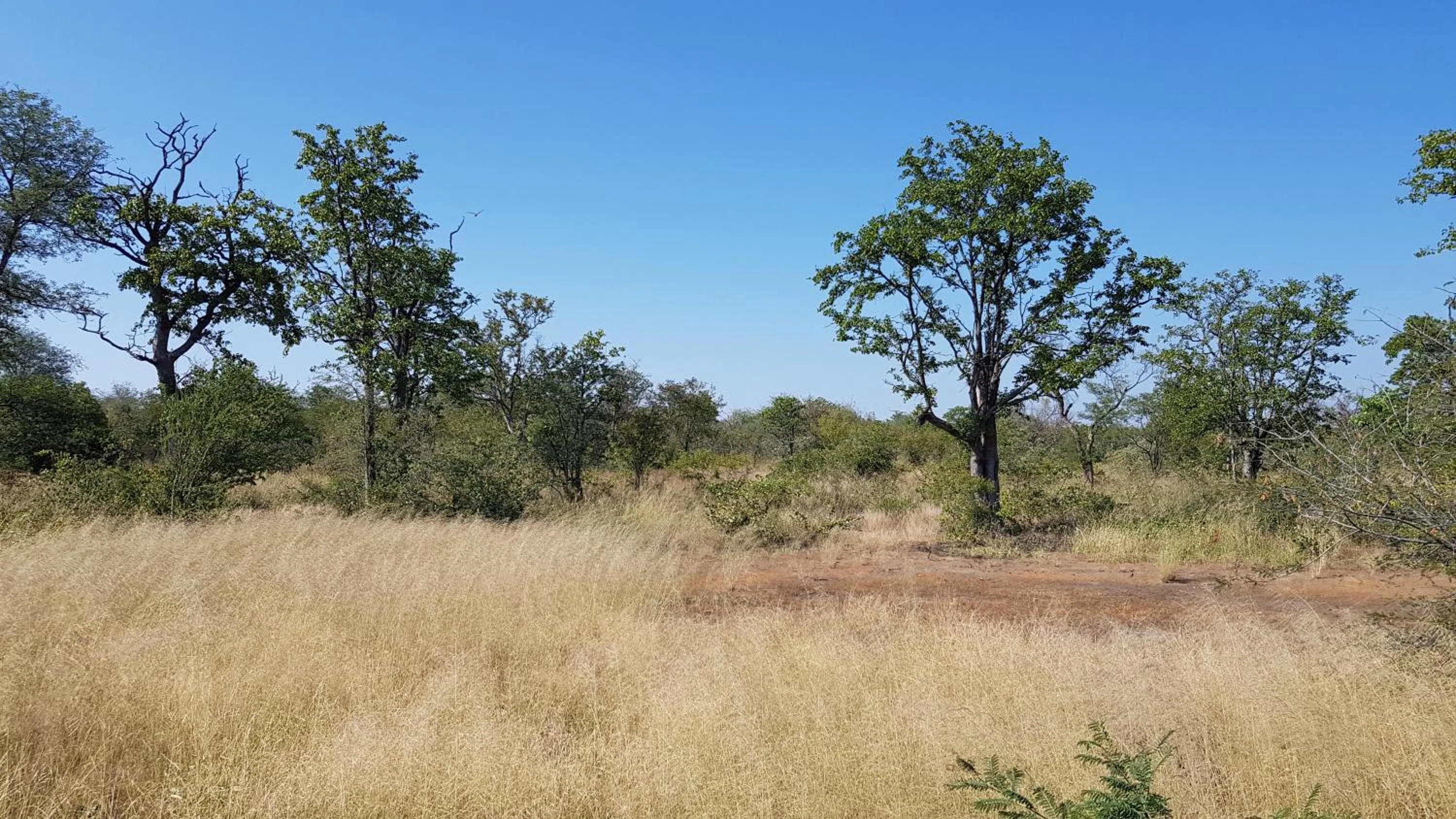Natural landscape in Cottage Lenise
