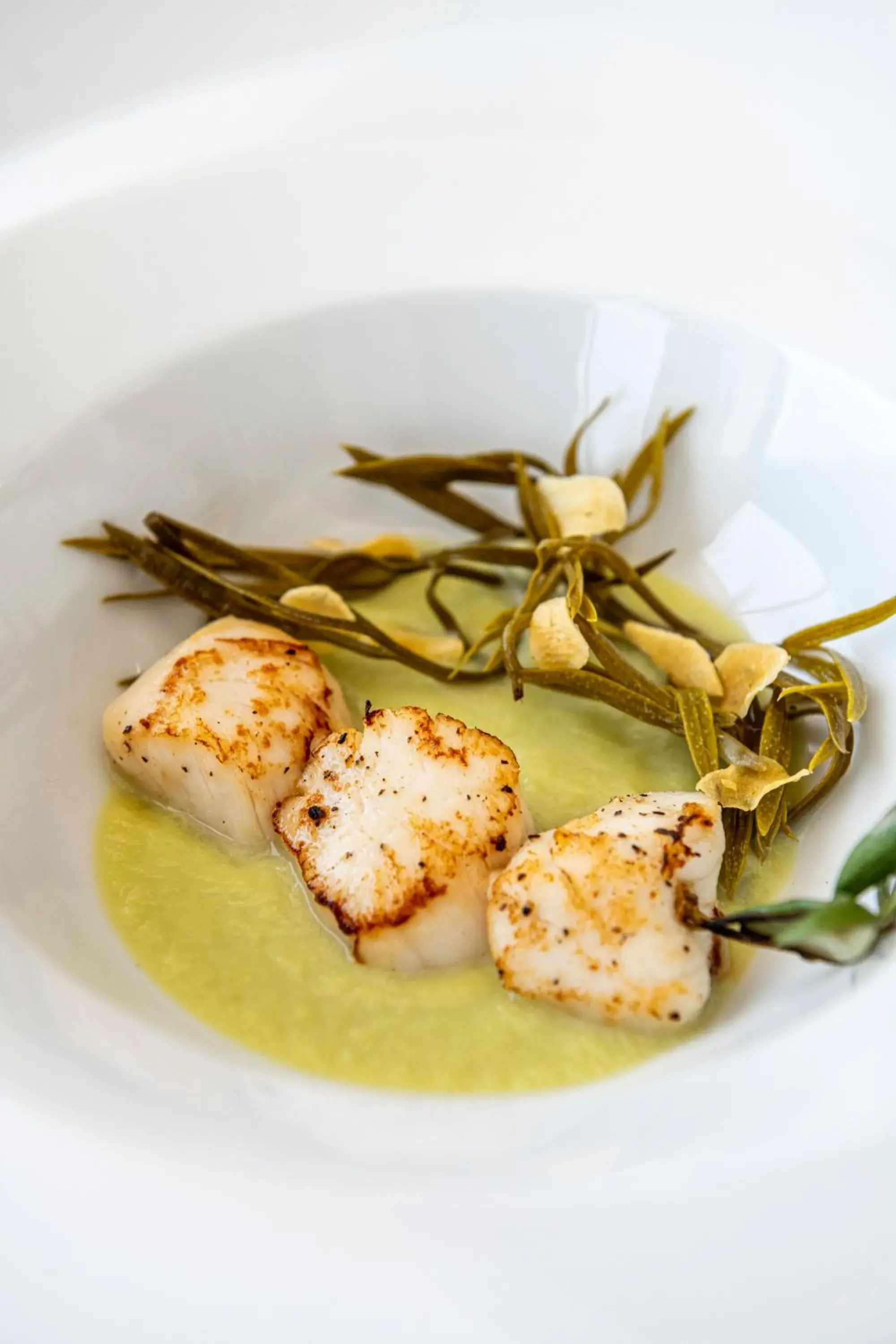 Restaurant/places to eat in Villa Orabelle Restaurant/places to eat in Villa Orabelle