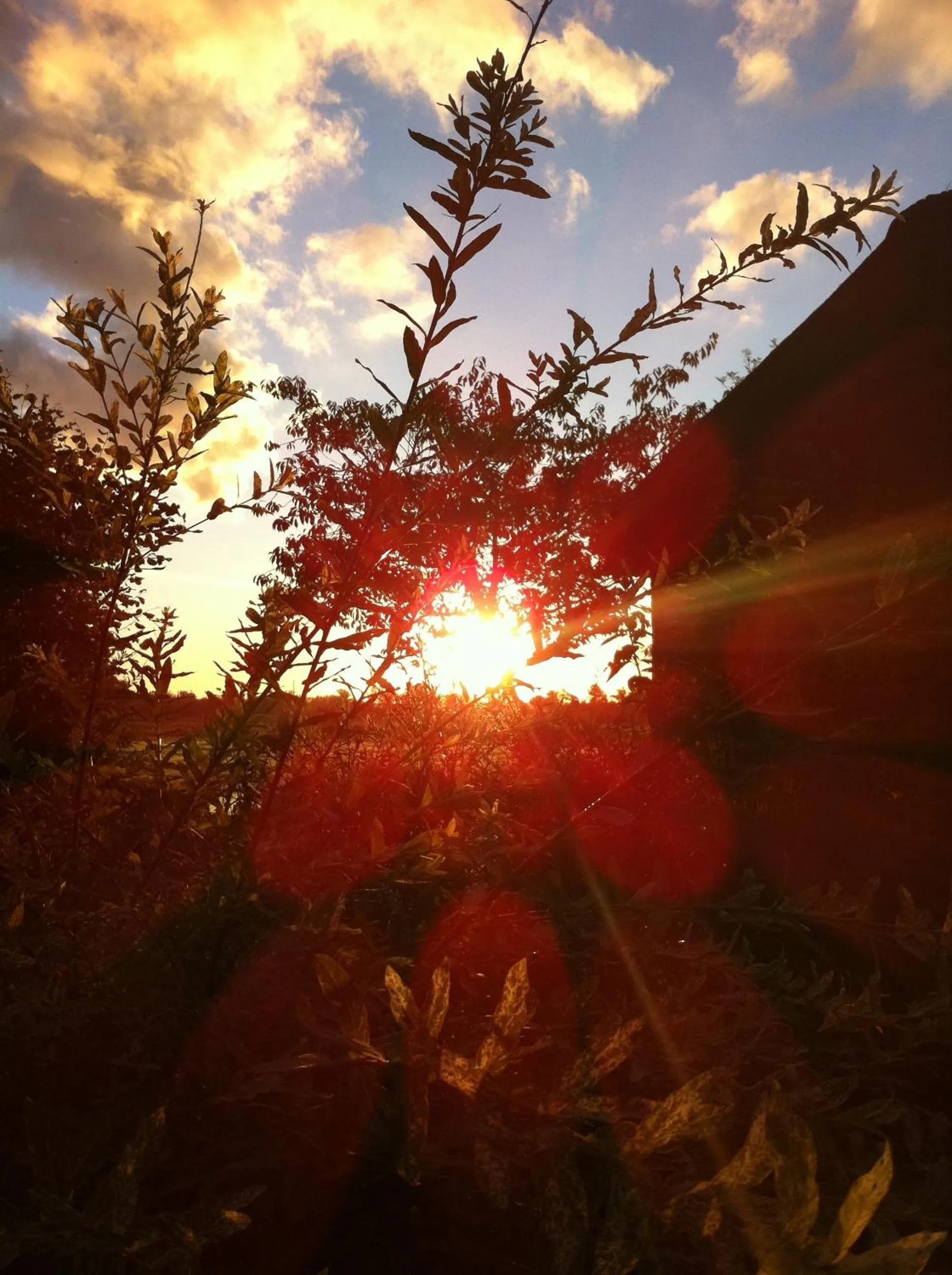 Sunset in Inselhotel Arfsten