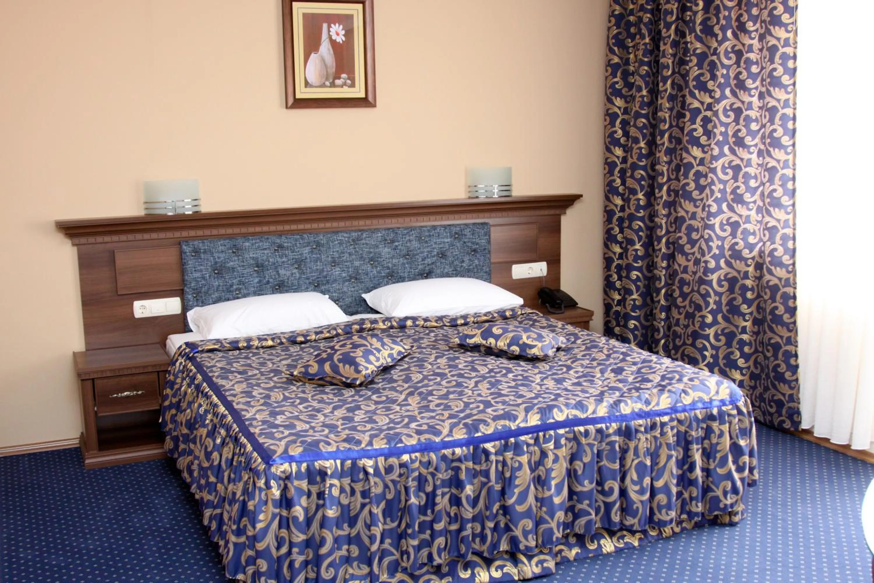 Double Room in Hotel Park Bachinovo
