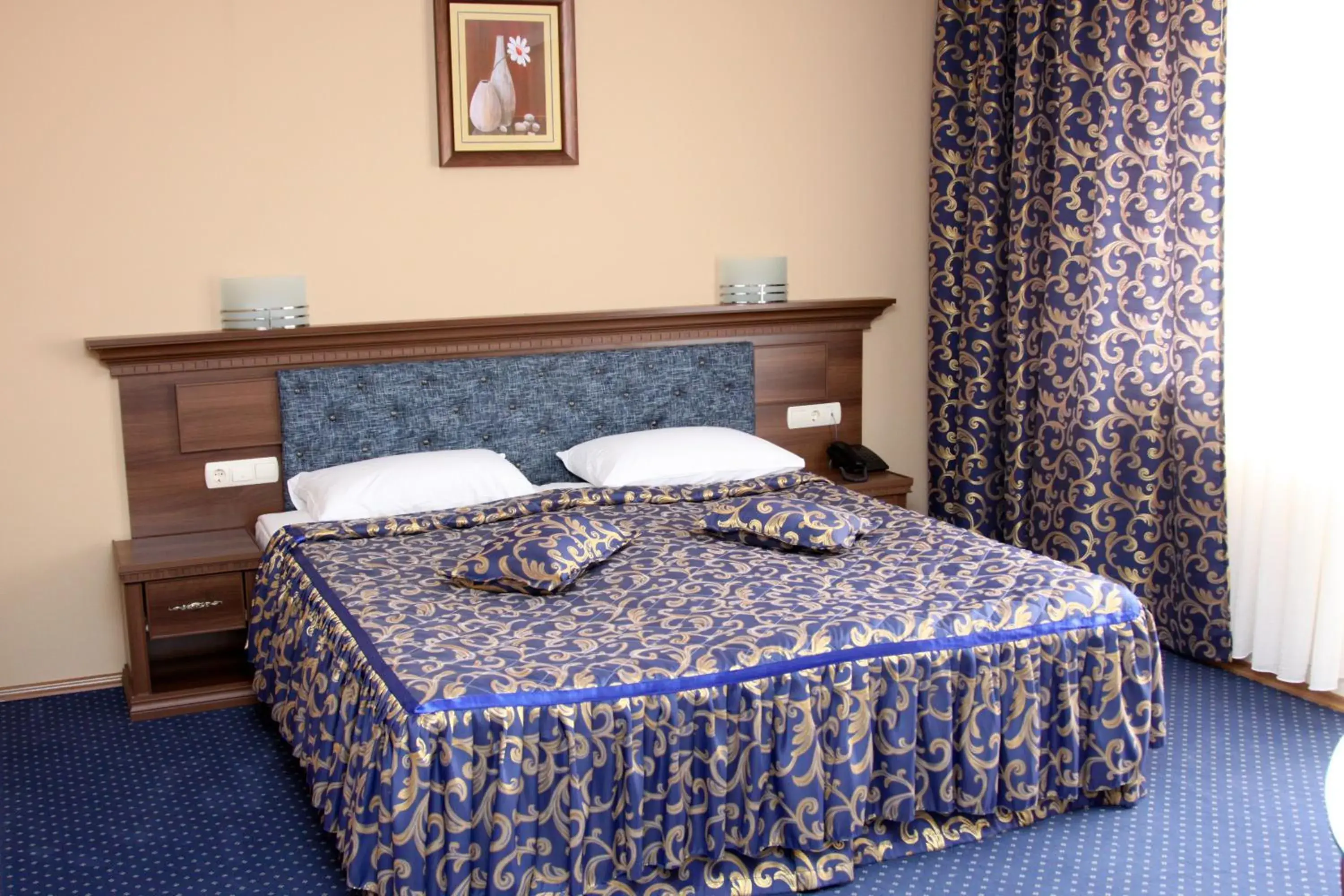 Double Room in Hotel Park Bachinovo Double Room in Hotel Park Bachinovo