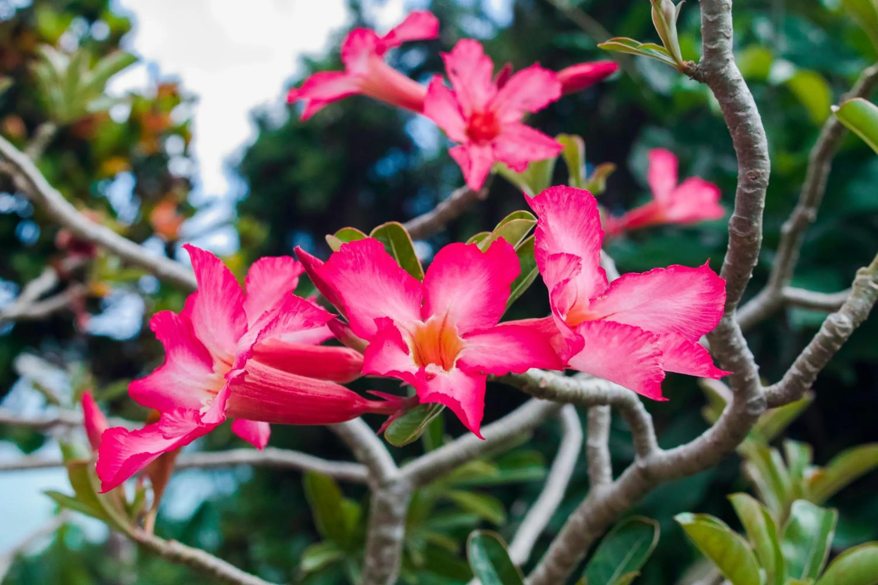 Day in Colibri Hotel