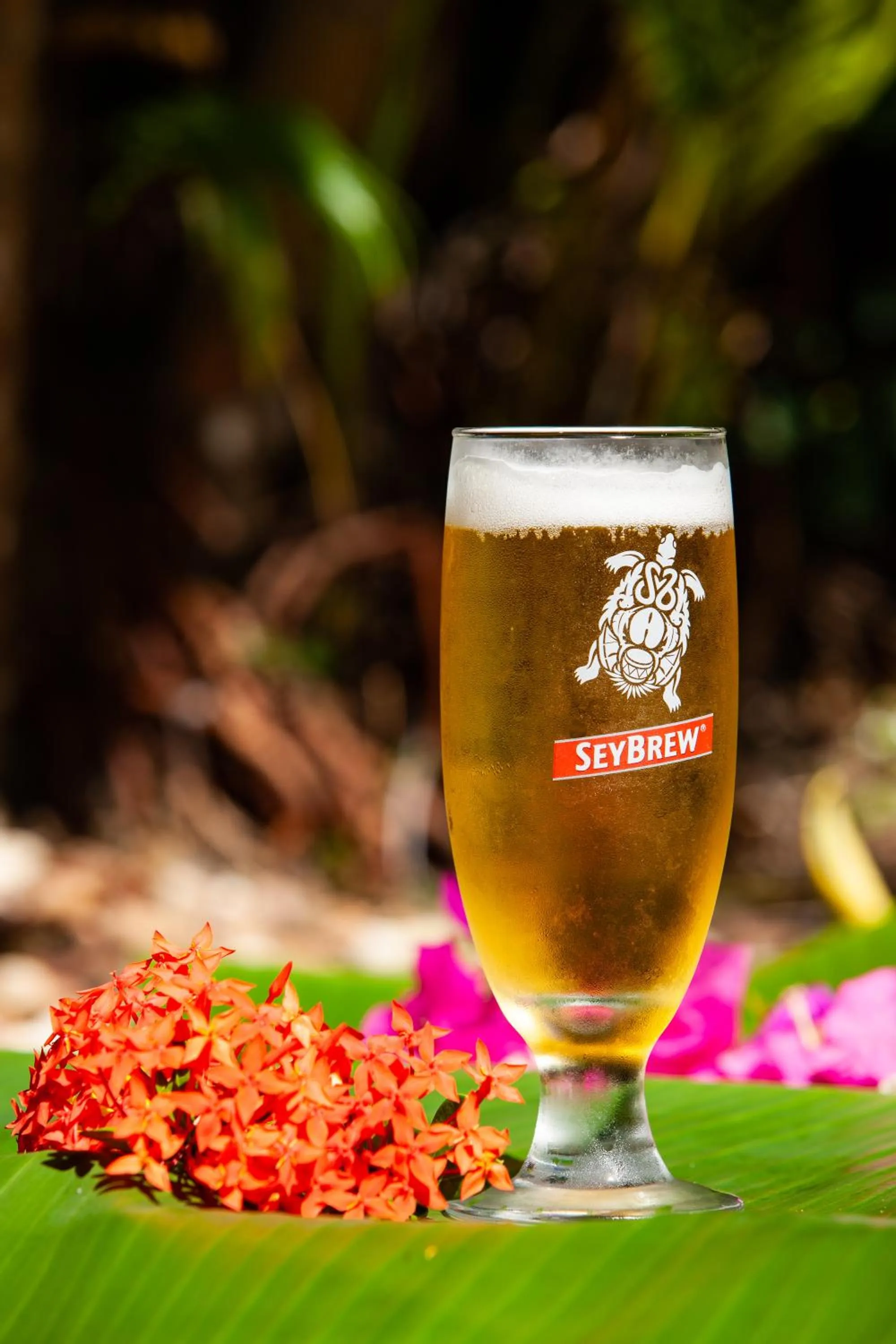 Food and drinks in Colibri Hotel