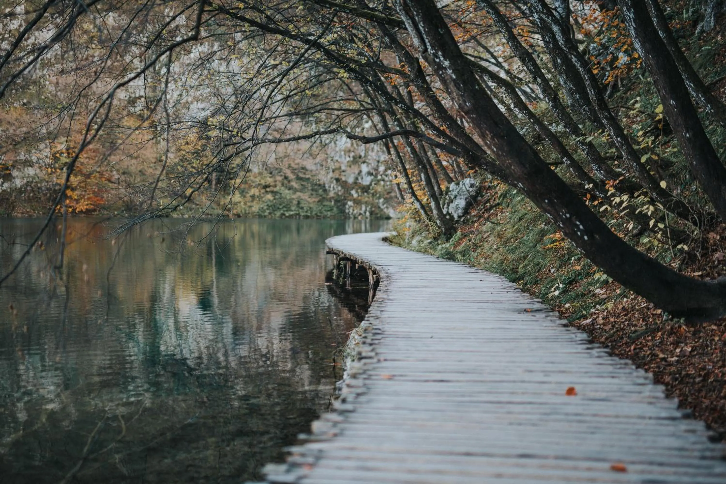 View (from property/room) in Plitvice Falls Cottage