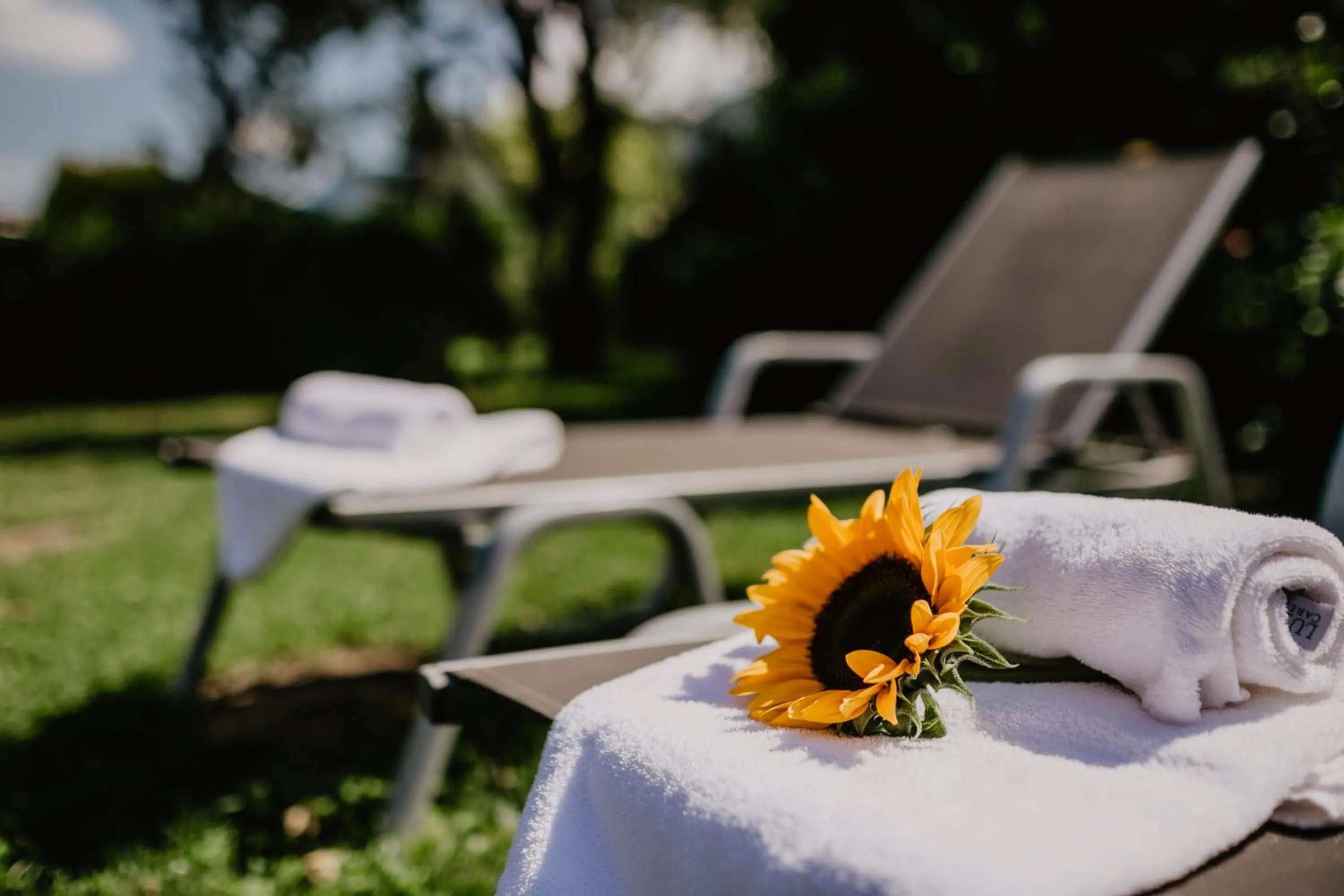 Garden in Weßner Hof Landhotel & Restaurant