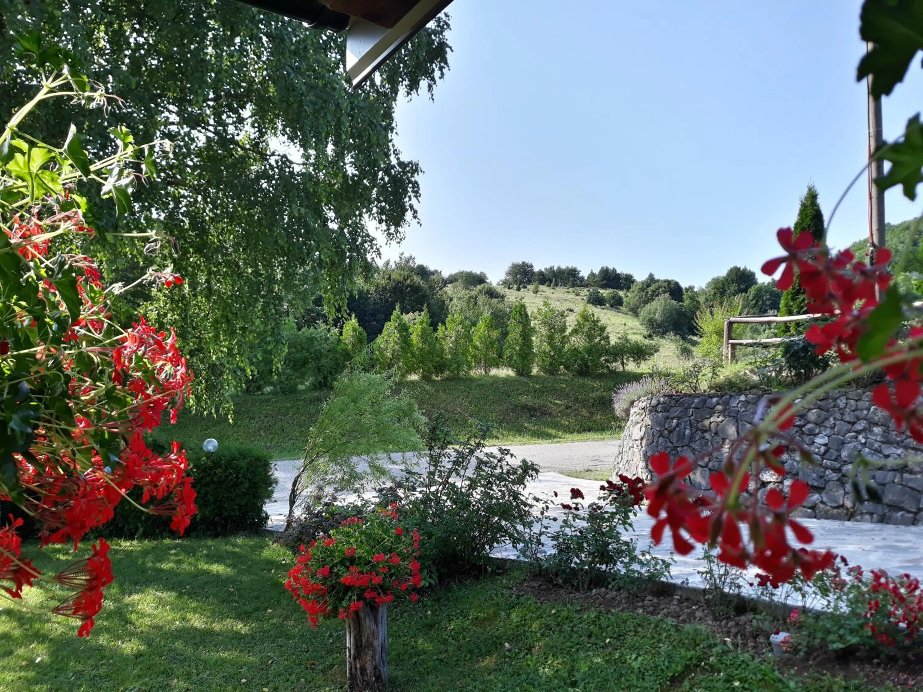 Garden view in Pansion Breza