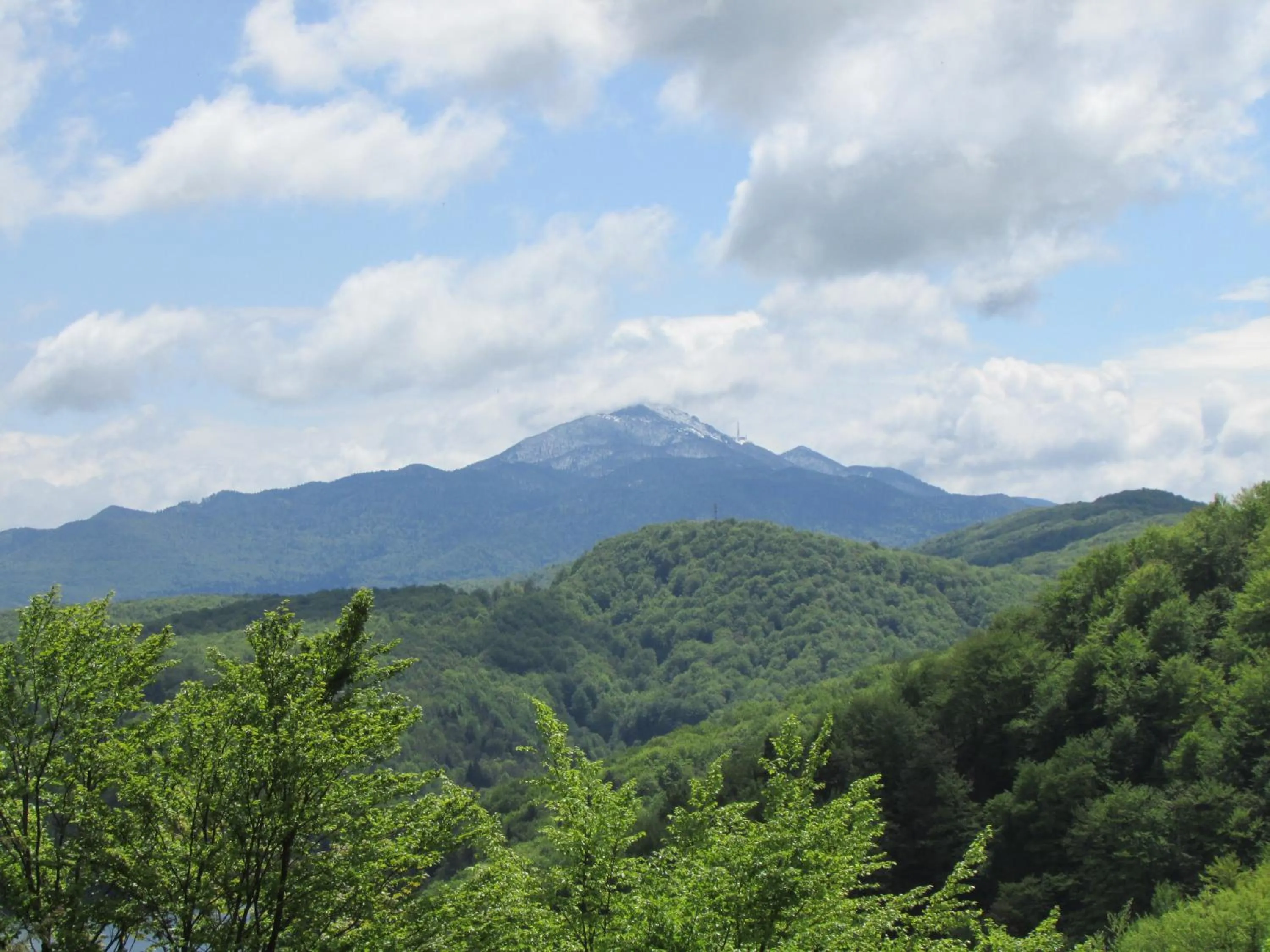 Natural landscape in Pansion Breza