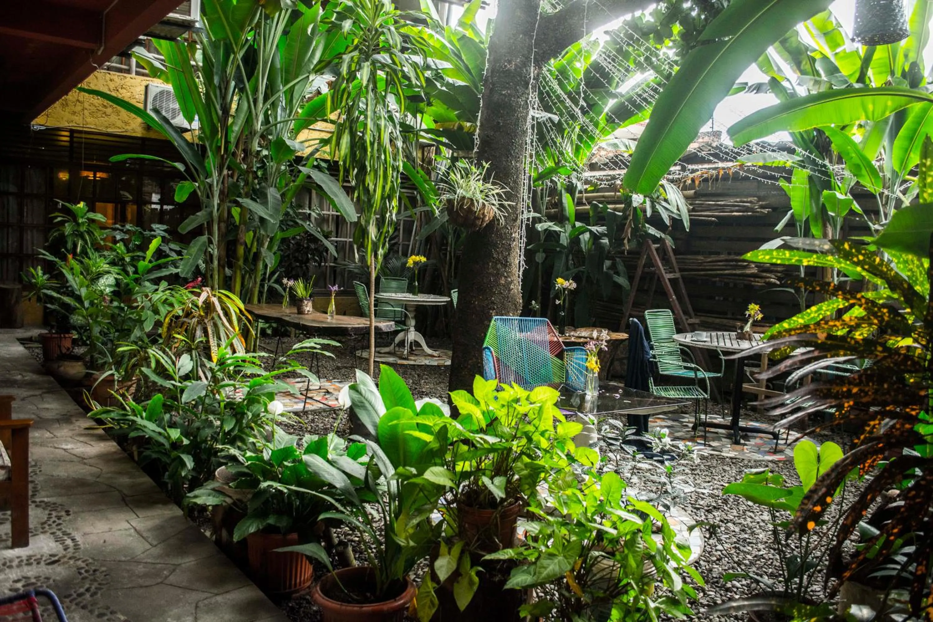 Garden in Casa de Palos Boutique