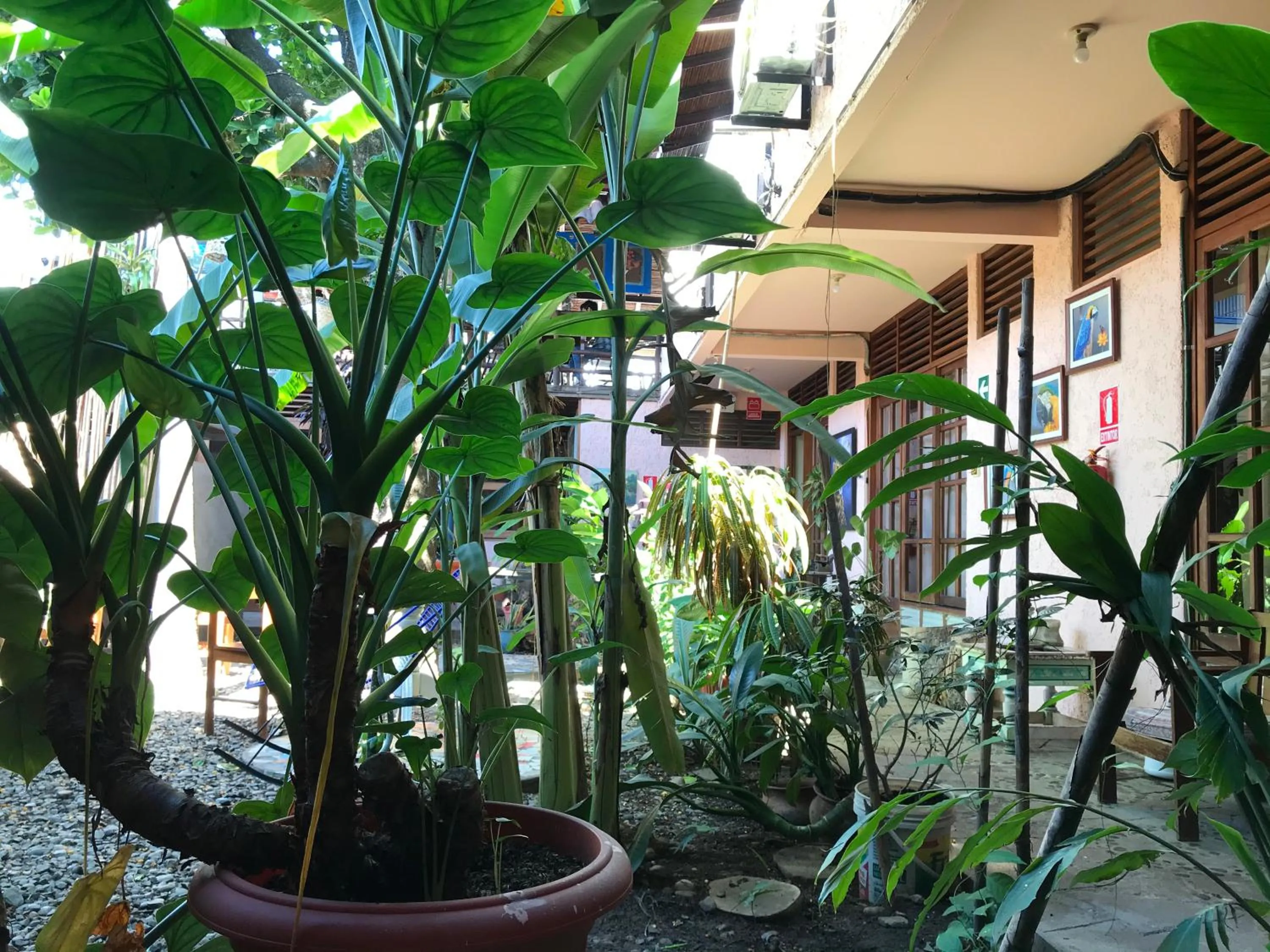Casa de Palos Boutique