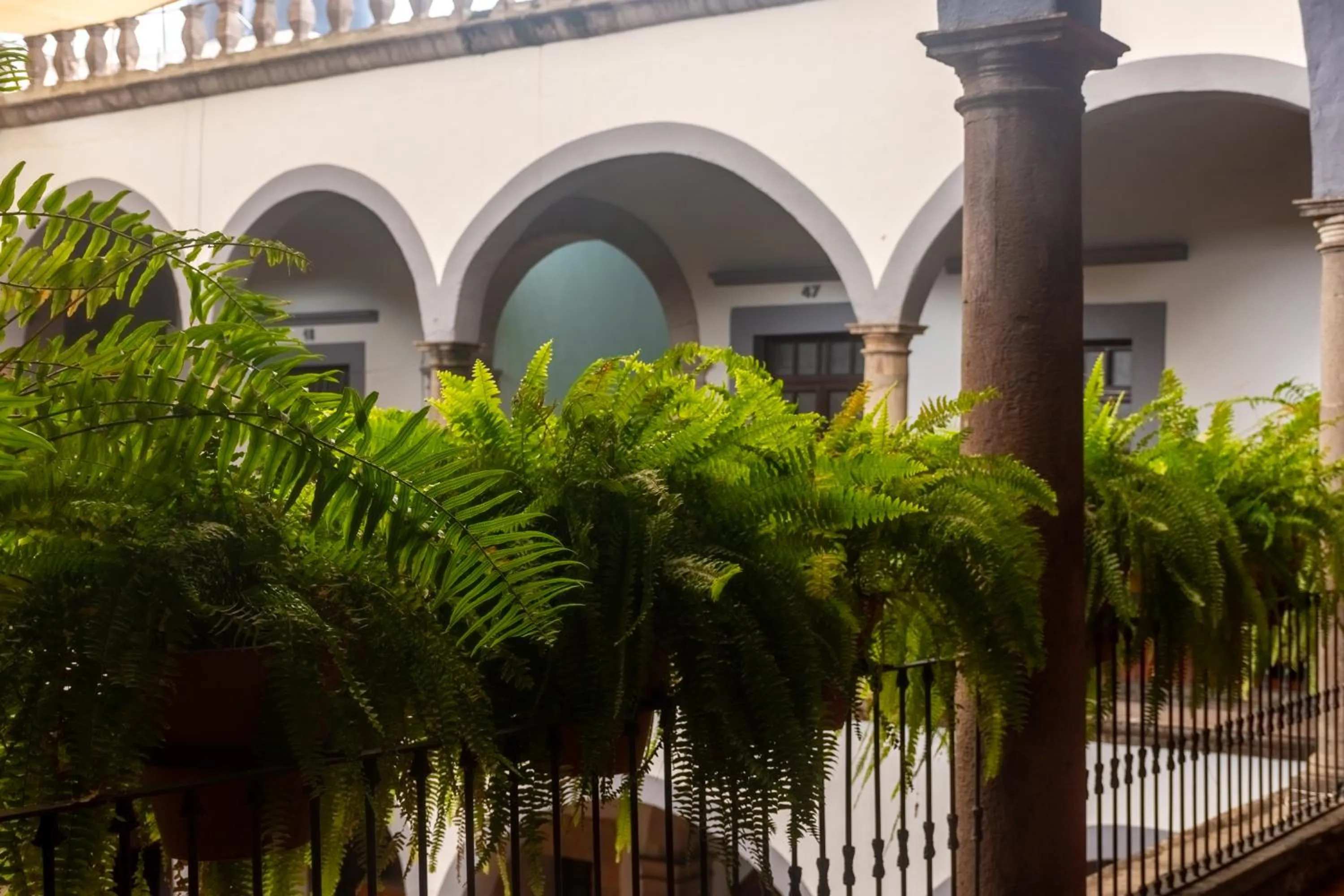 Patio in Hotel Hidalgo