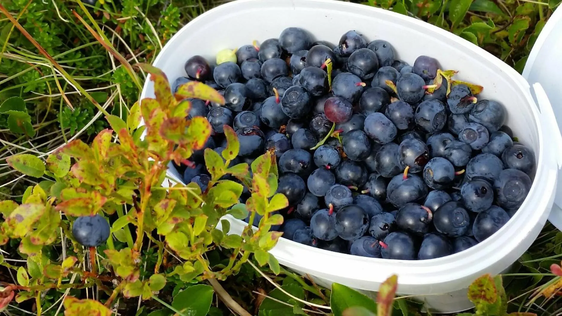 Nearby landmark in Holt Inn
