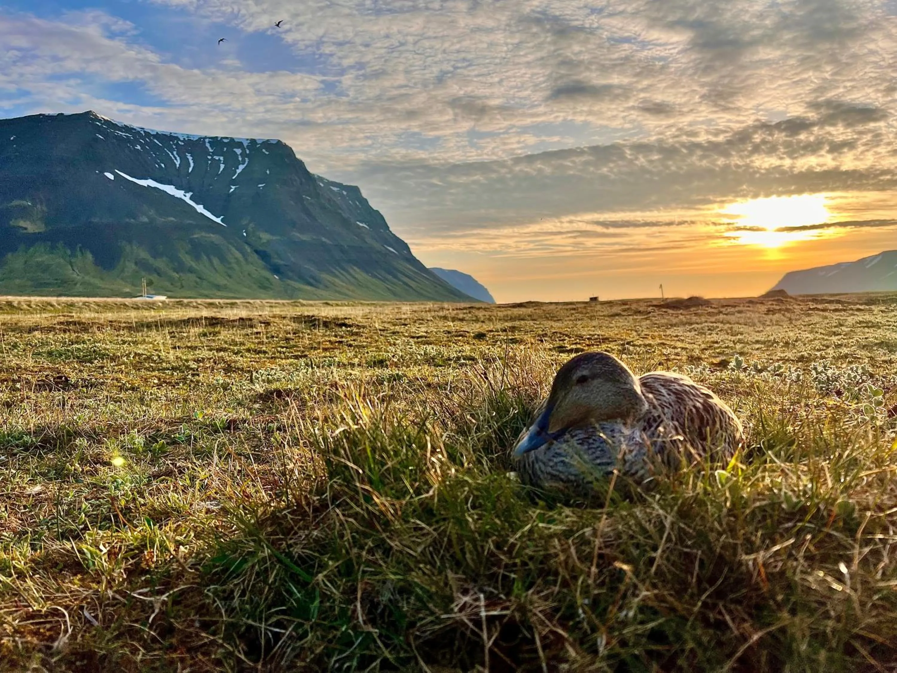 Natural landscape in Holt Inn