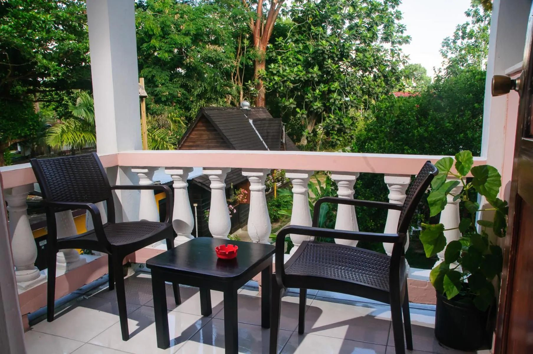 Day in Firefly Beach Cottages