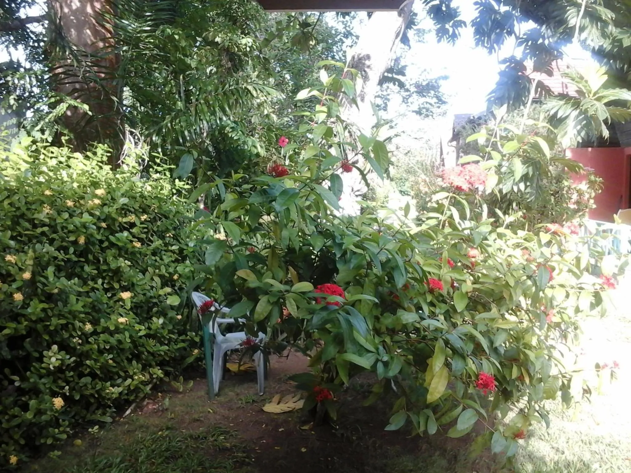 Garden in Firefly Beach Cottages