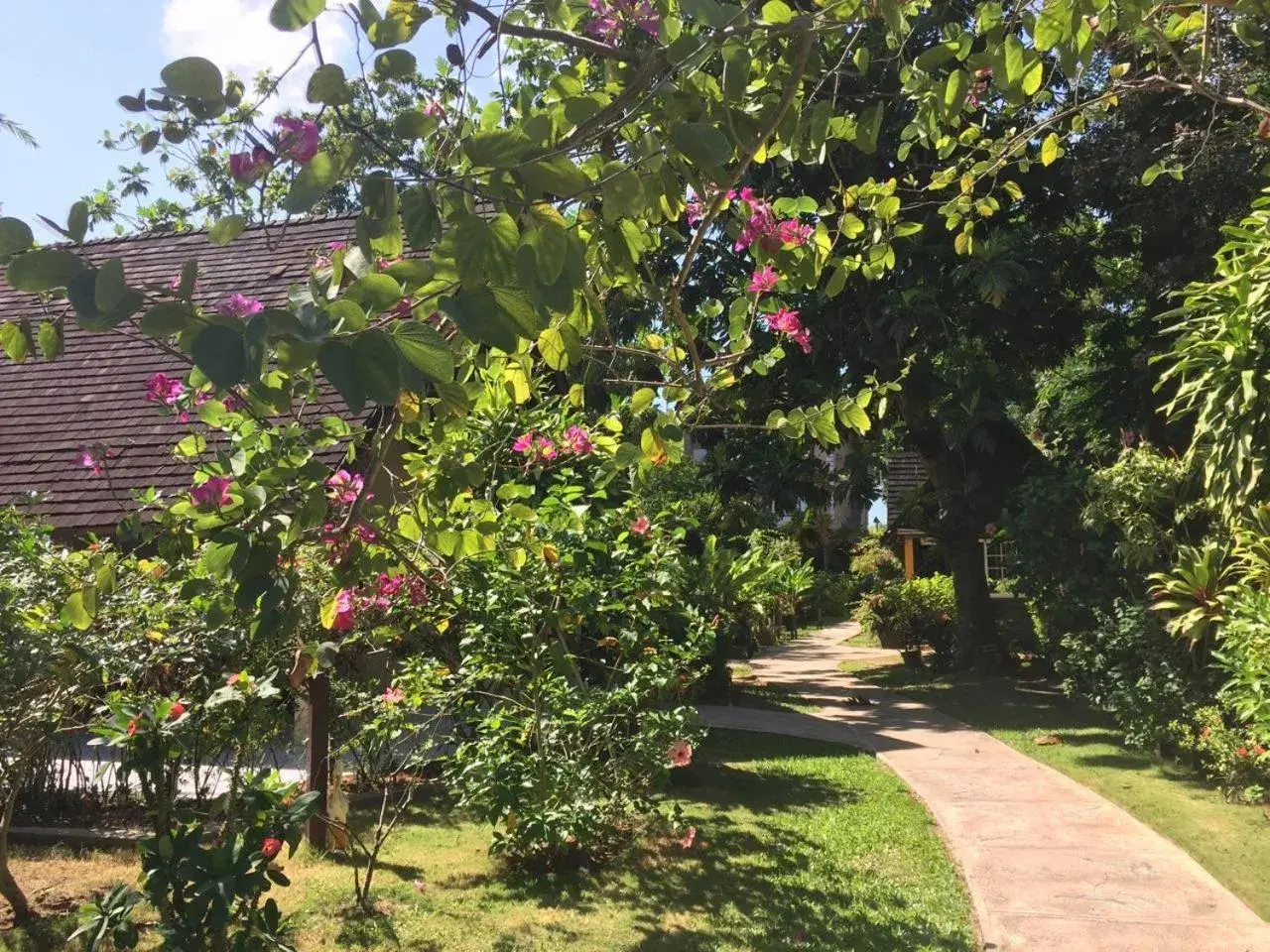 Facade/entrance in Firefly Beach Cottages Facade/entrance in Firefly Beach Cottages