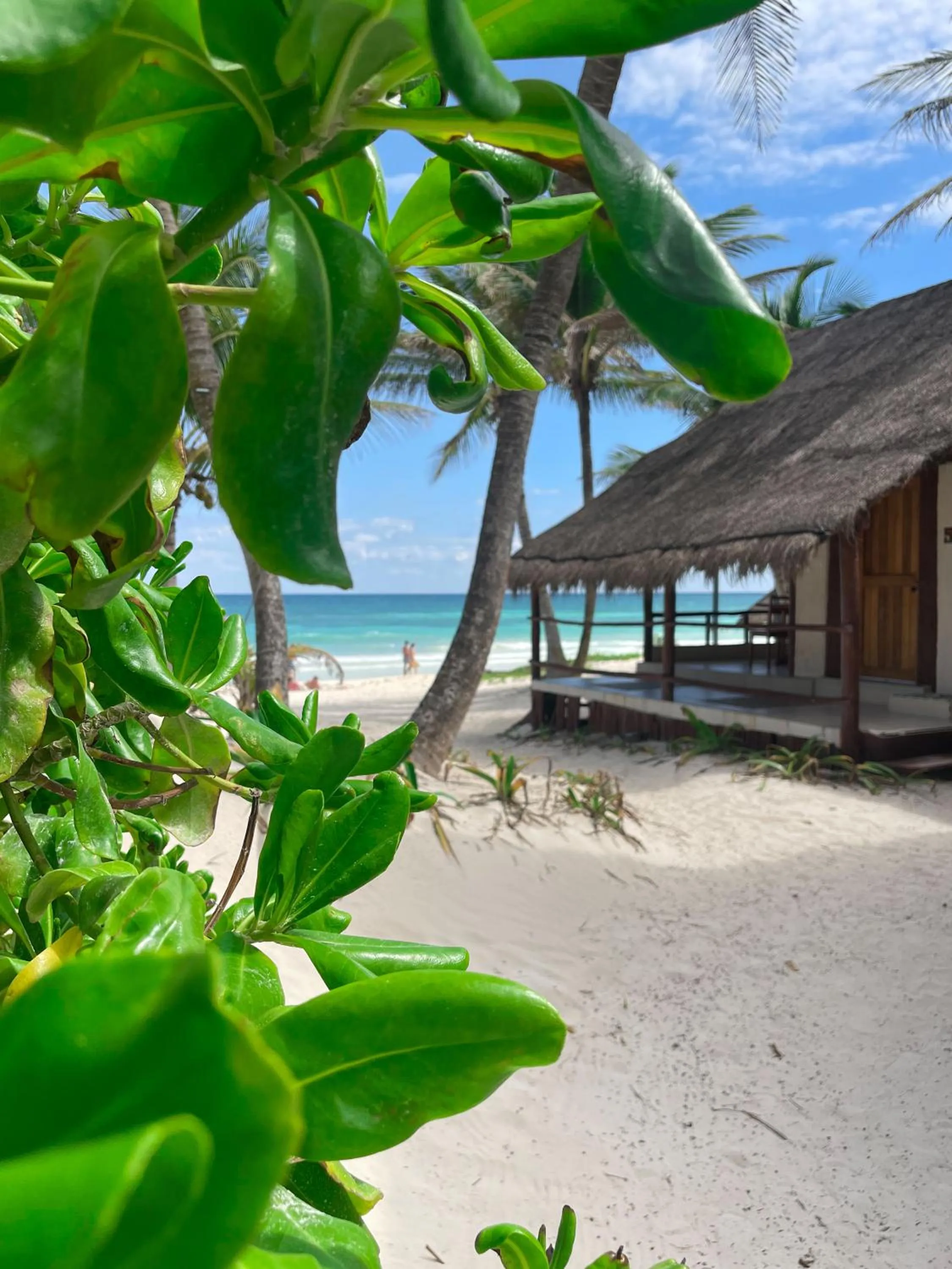 Property building in BT Live Tulum located at the party zone