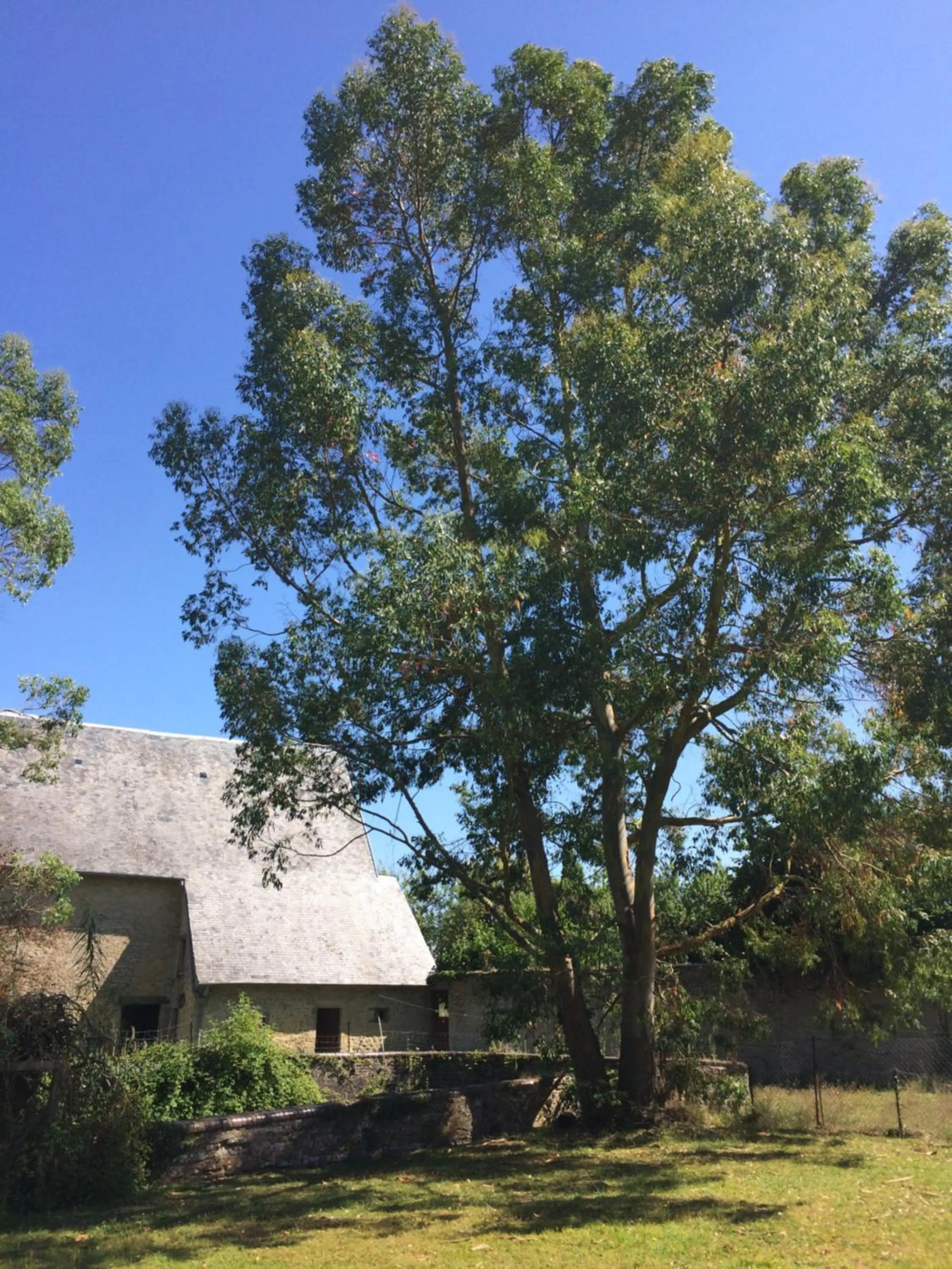 Natural landscape in Le Manoir des Doyens