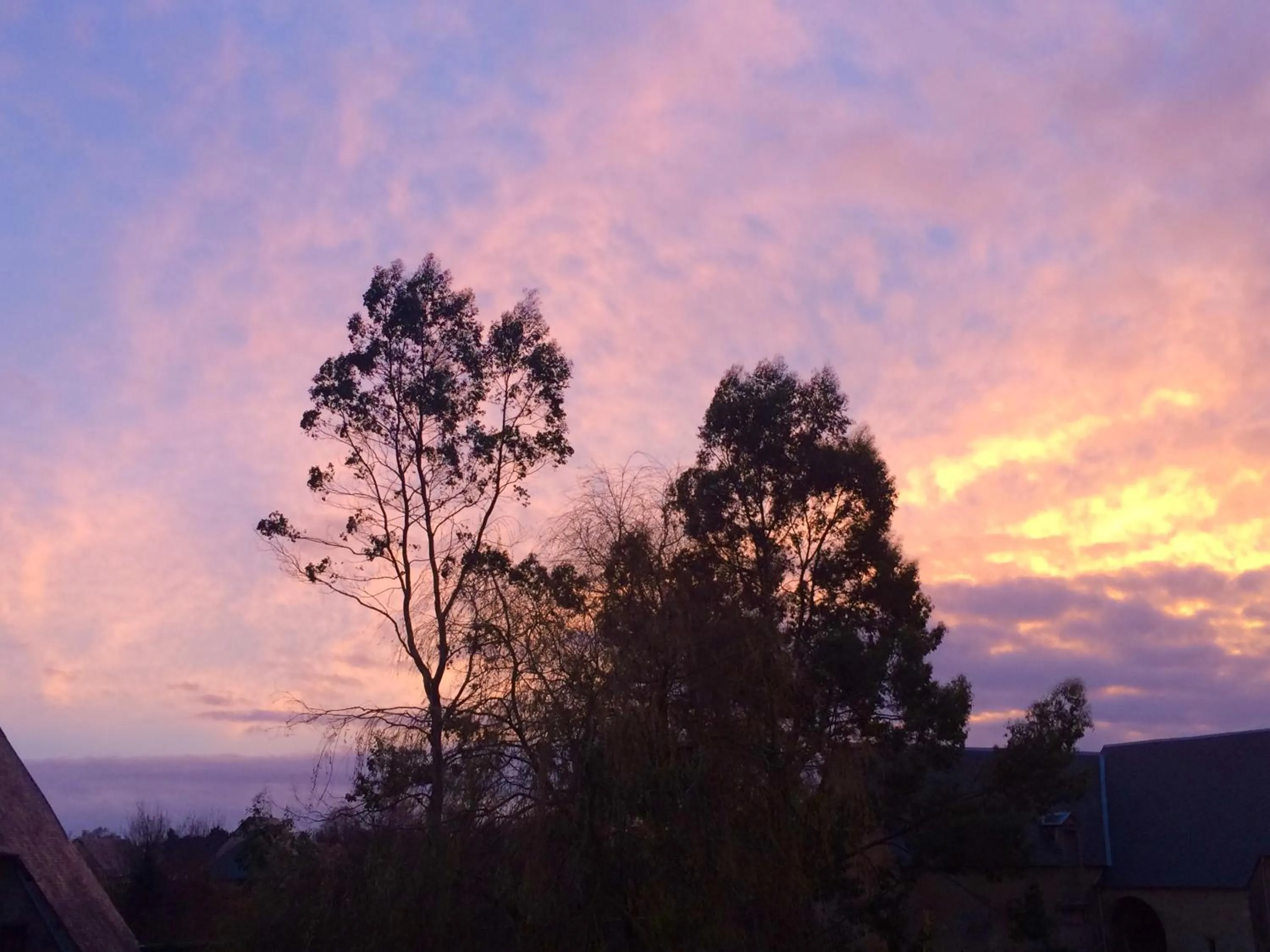 Garden in Le Manoir des Doyens