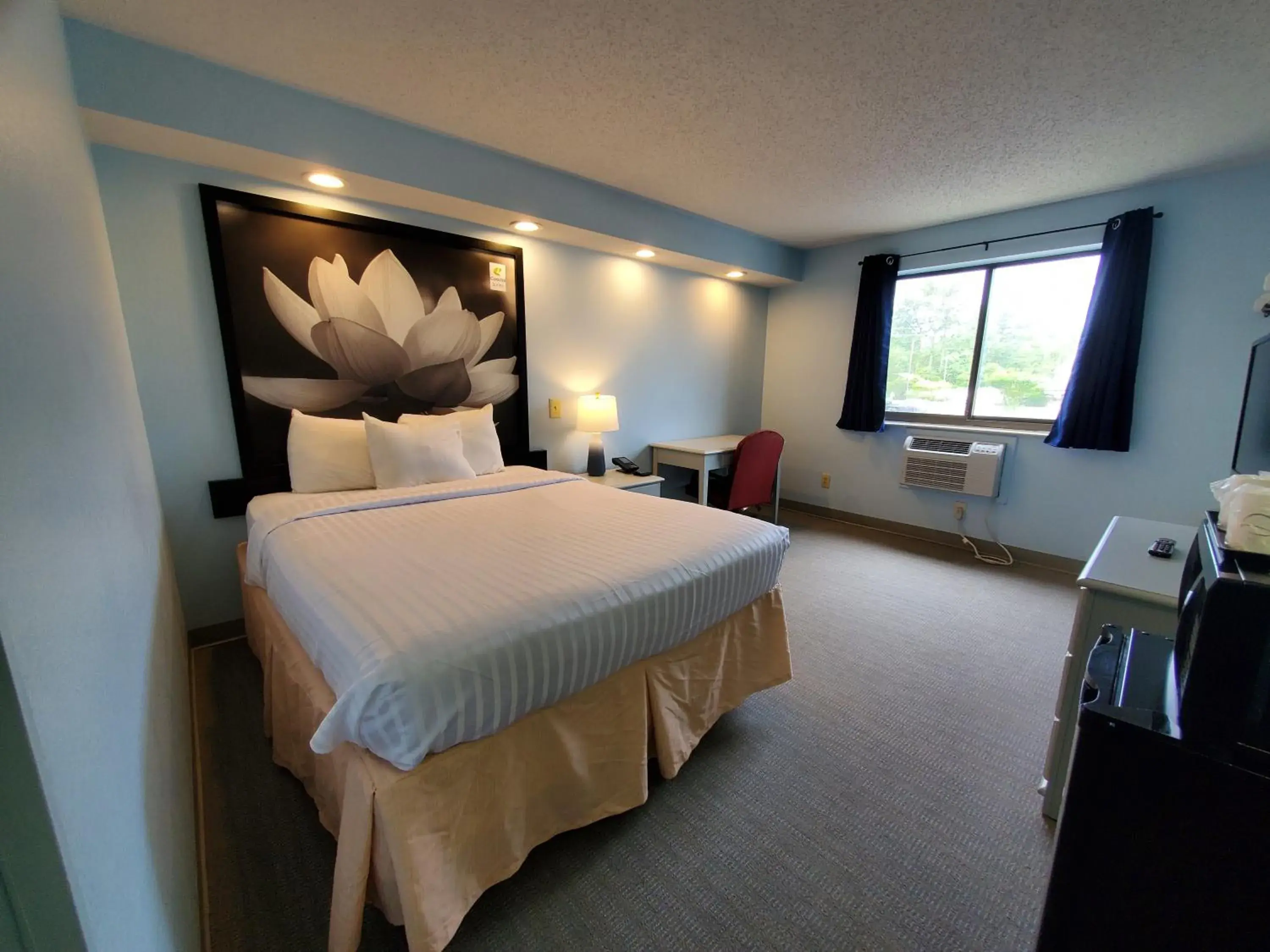 Photo of the whole room, Bed in Coastal Inn & Suites Photo of the whole room, Bed in Coastal Inn & Suites