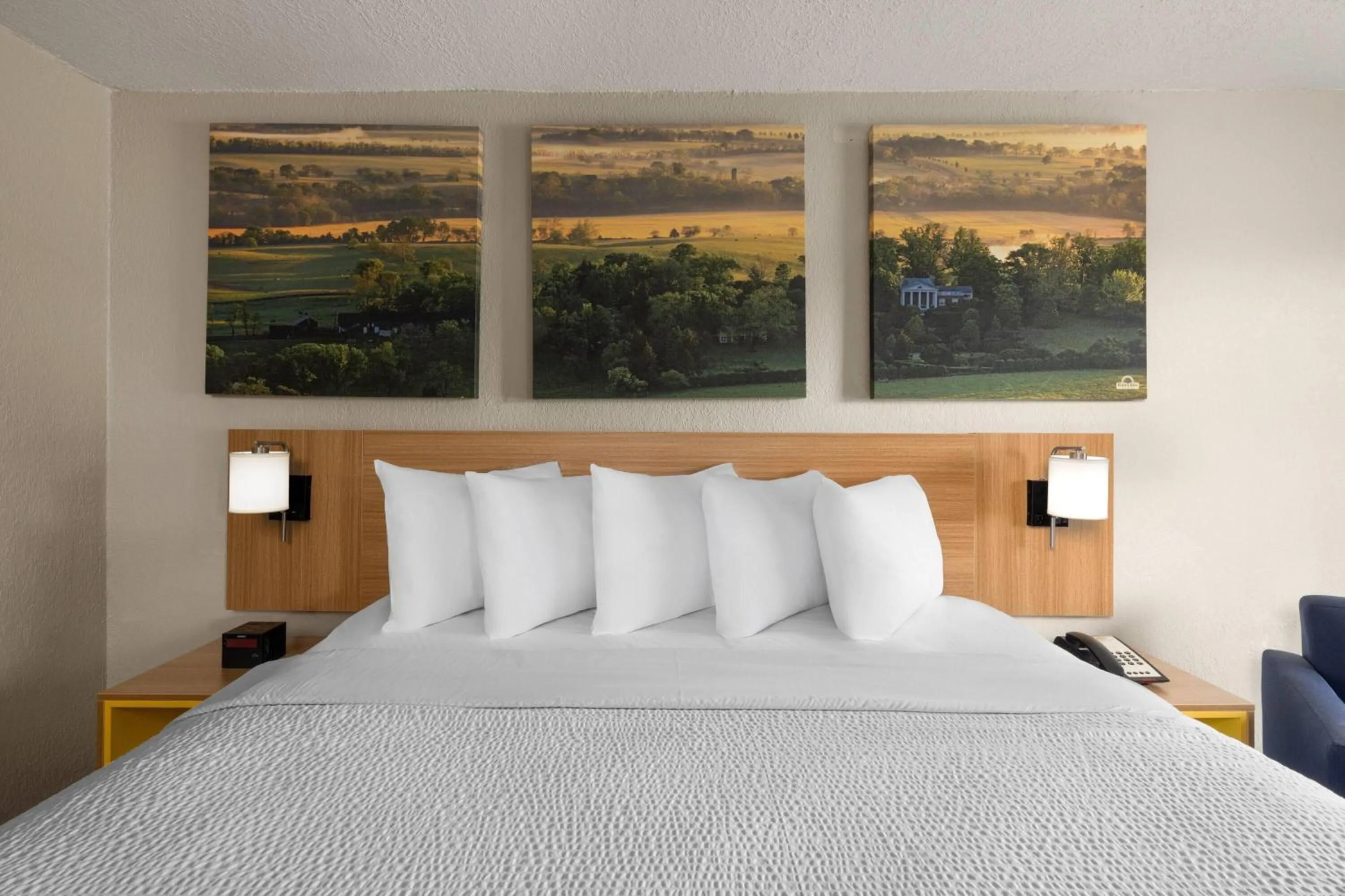 Photo of the whole room, Bed in Days Inn by Wyndham Augusta Wheeler Road