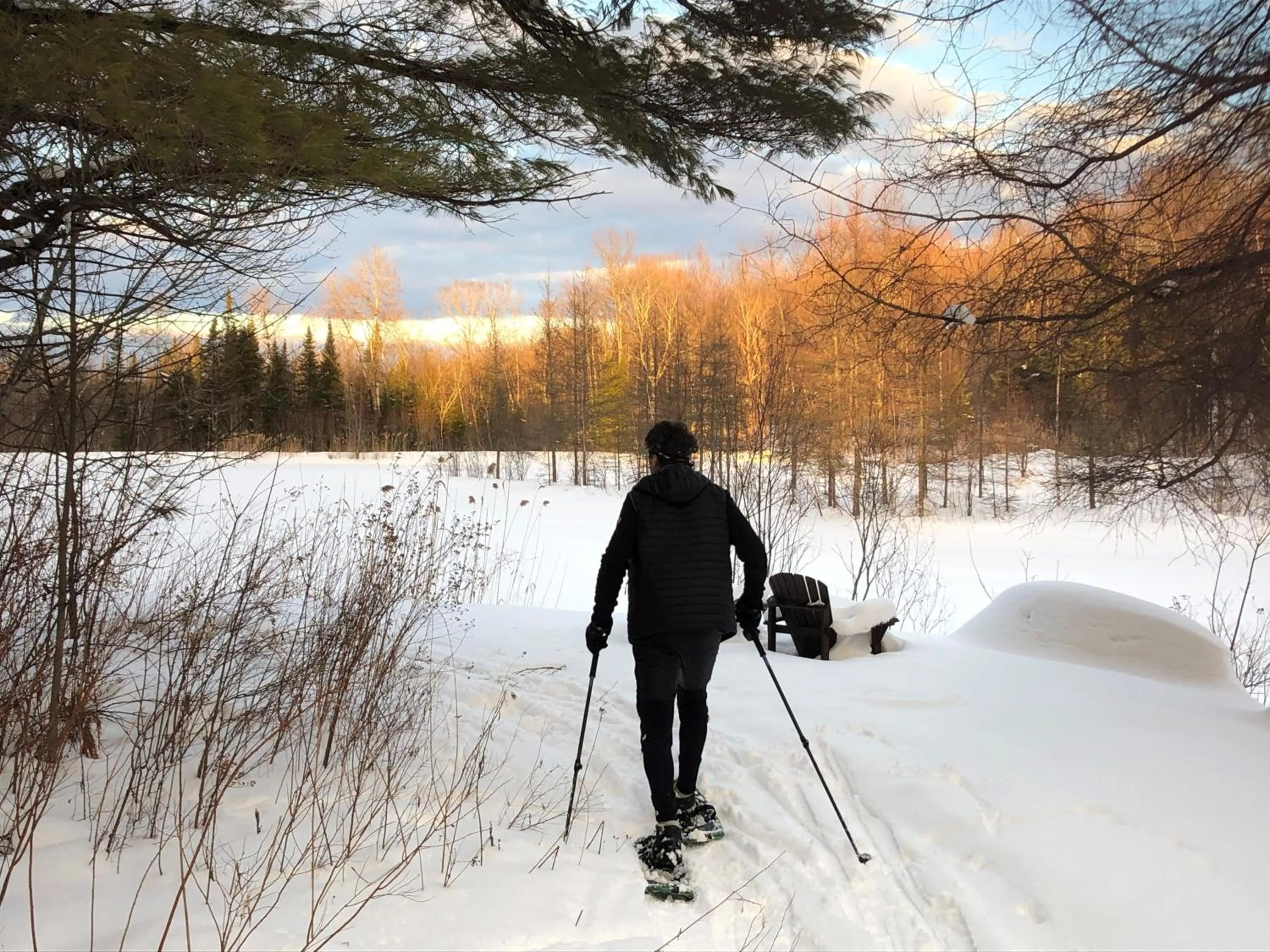 Activities in Domaine Jolivent