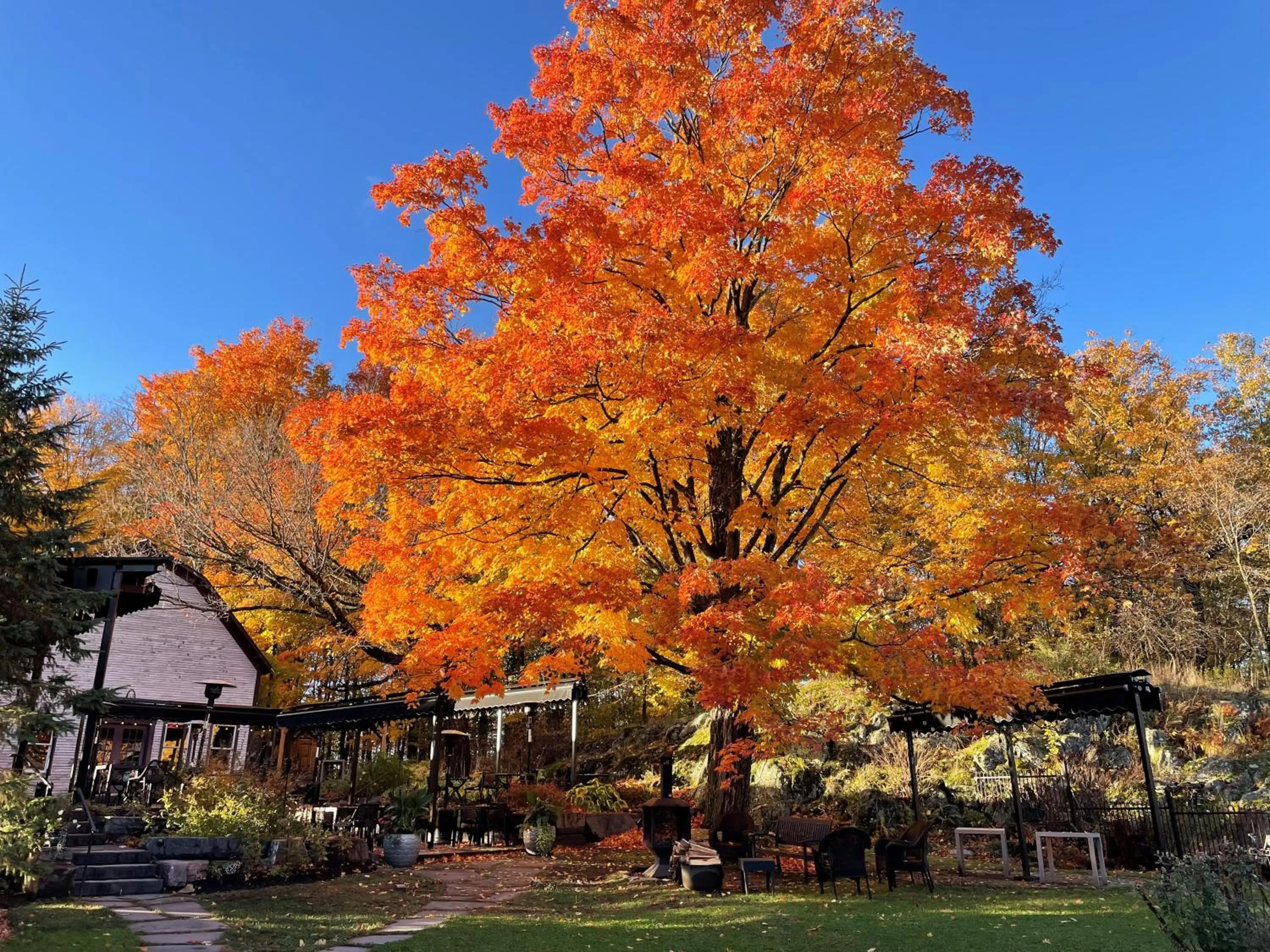 Restaurant/places to eat in Domaine Jolivent