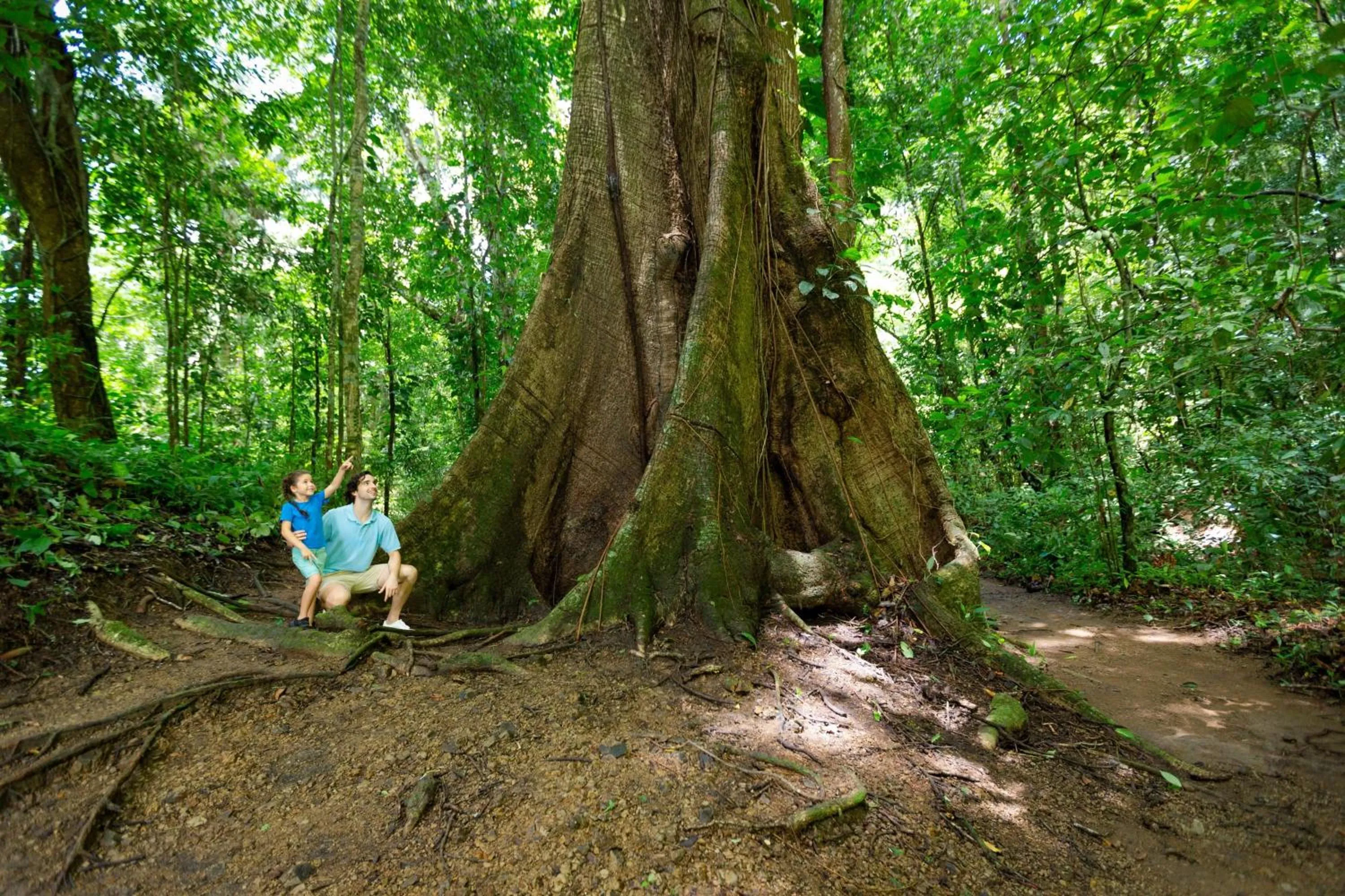 Other in Los Sueños Marriott Ocean & Golf Resort