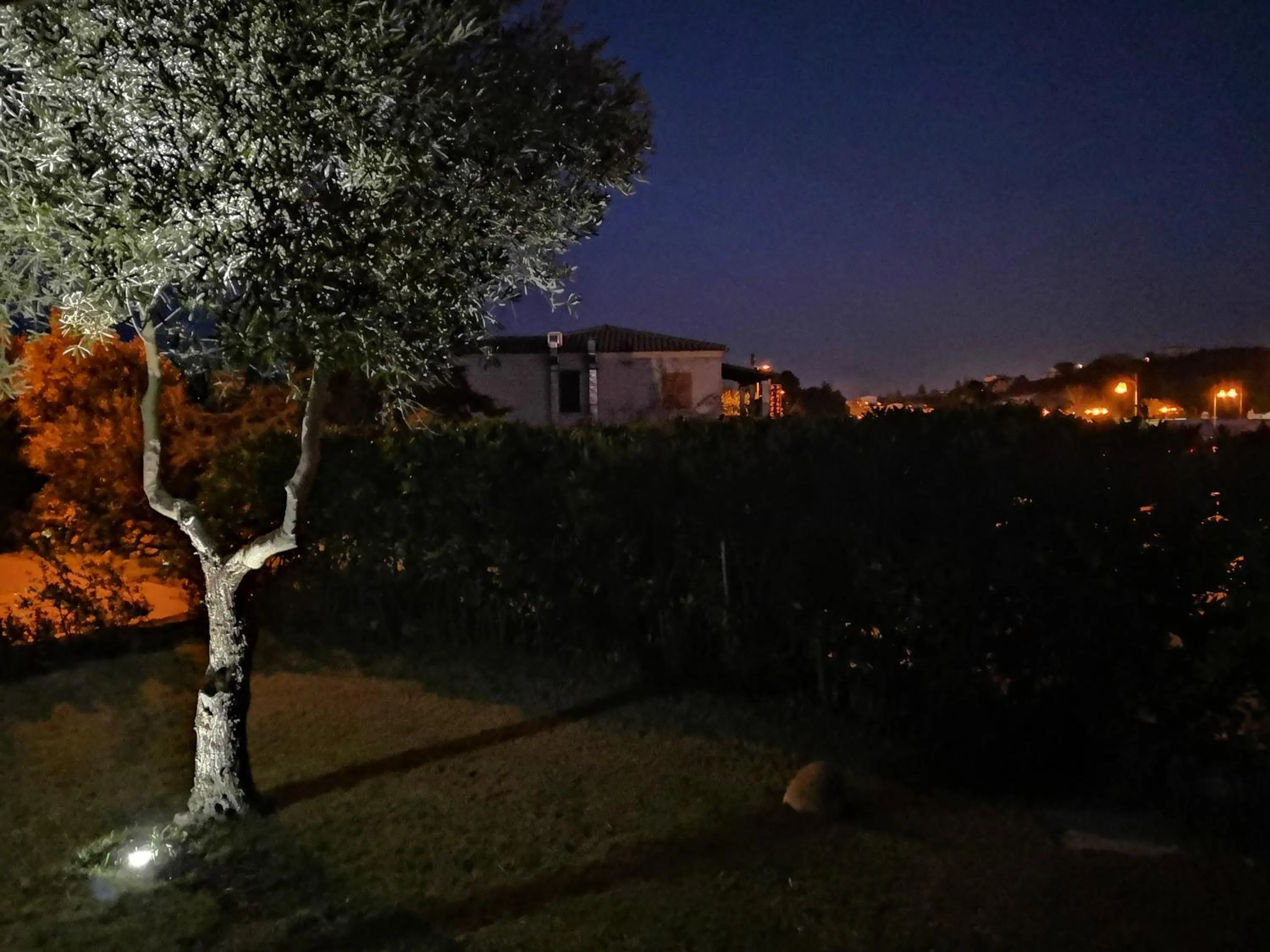 Night in A Lu Ponti