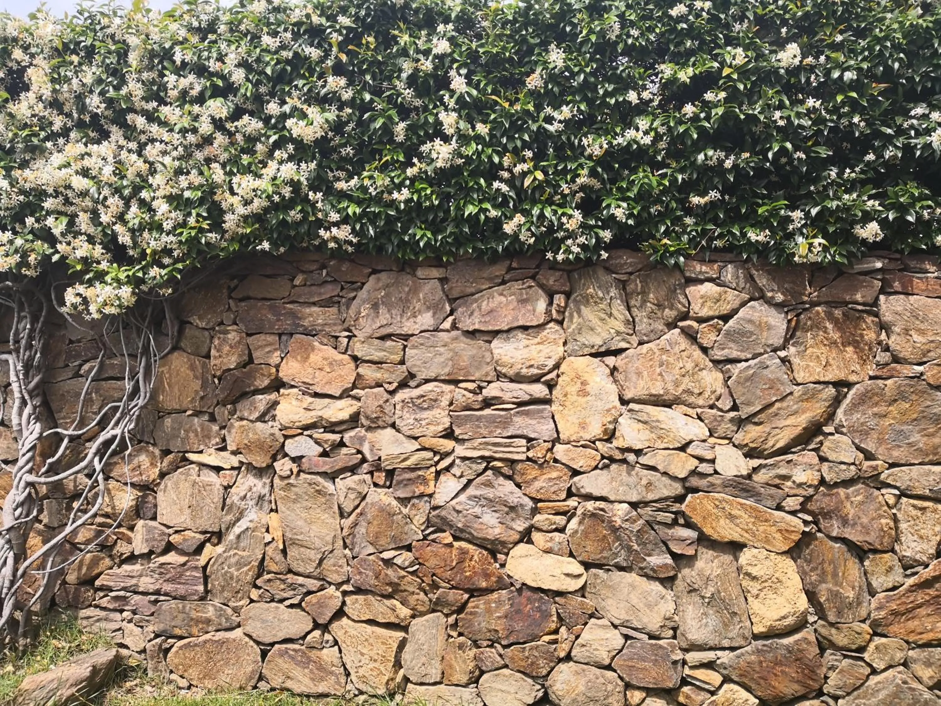 Spring in A Lu Ponti