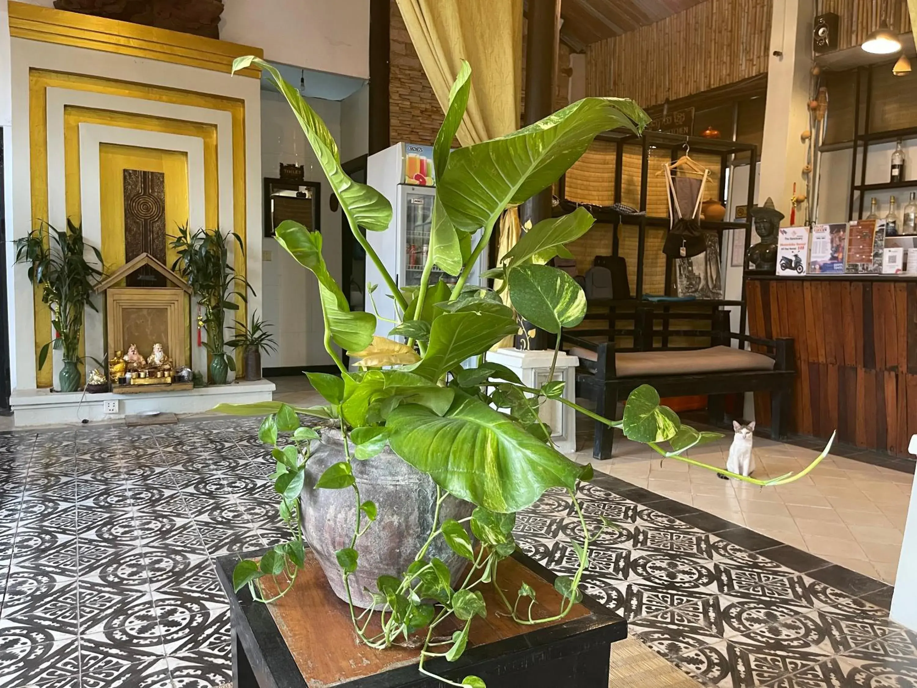 Restaurant/places to eat in The Sanctuary Villa Battambang Restaurant/places to eat in The Sanctuary Villa Battambang