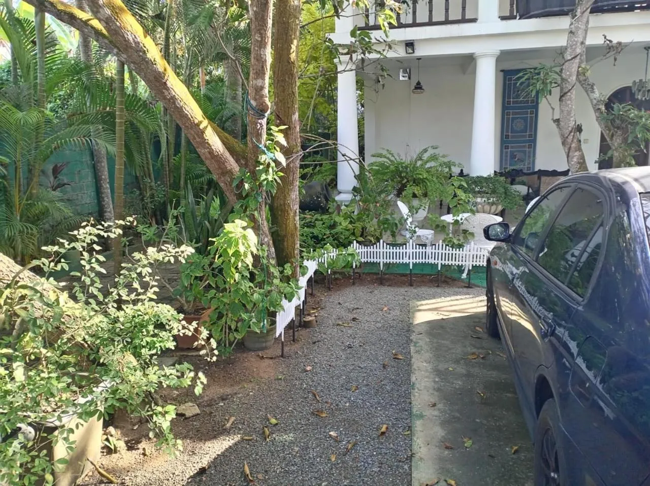 Mother's Place Nimala