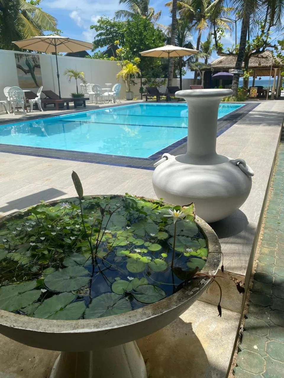 Mother's Place Nimala