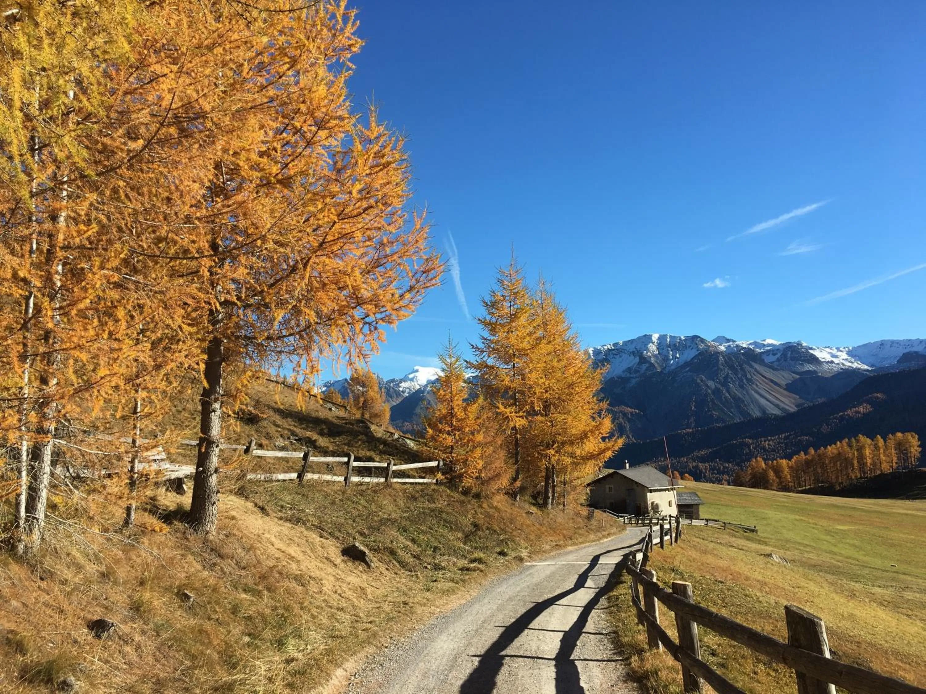 Other in Hotel Al Rom