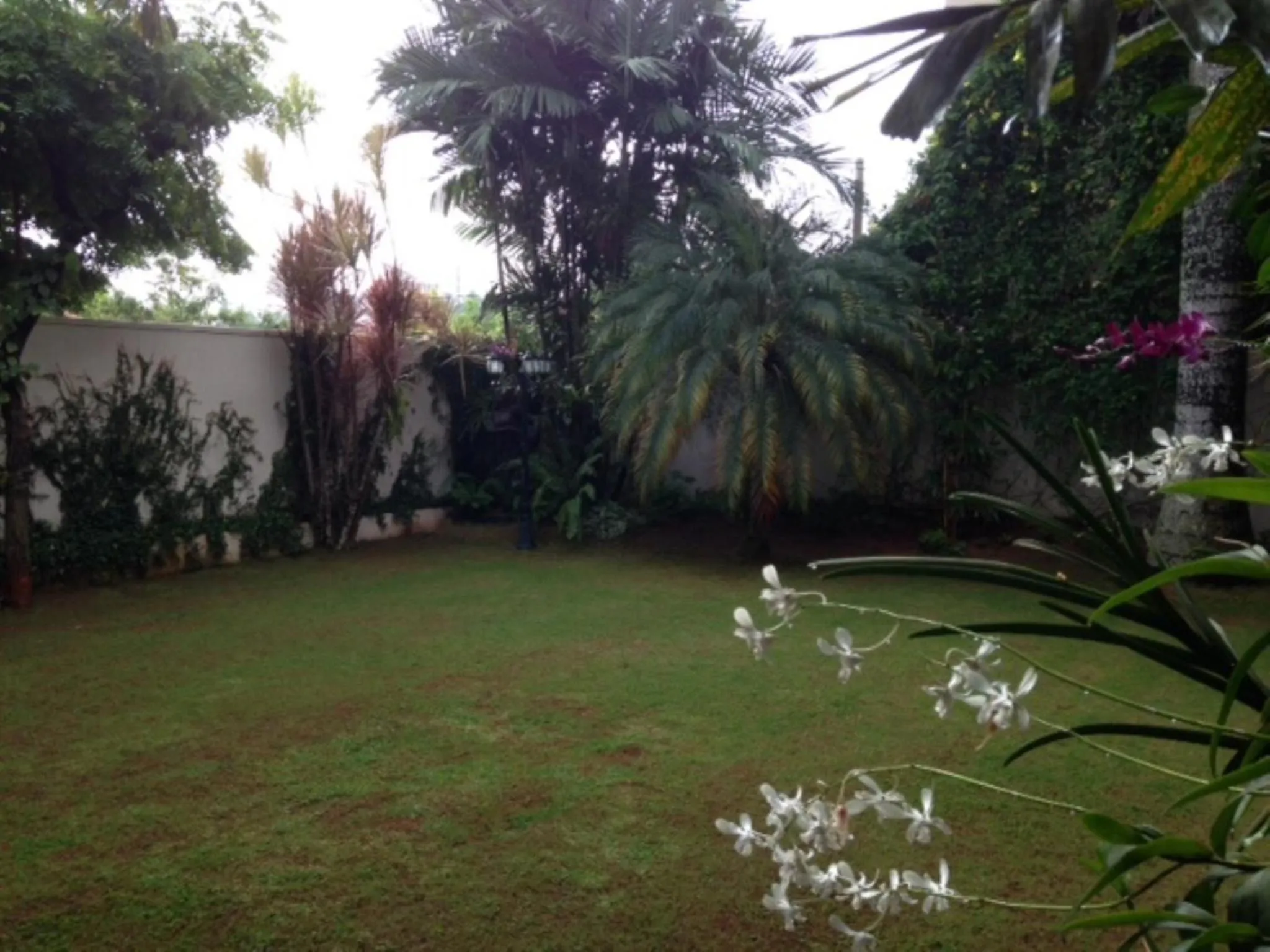 Natural landscape in Silvikris Villa