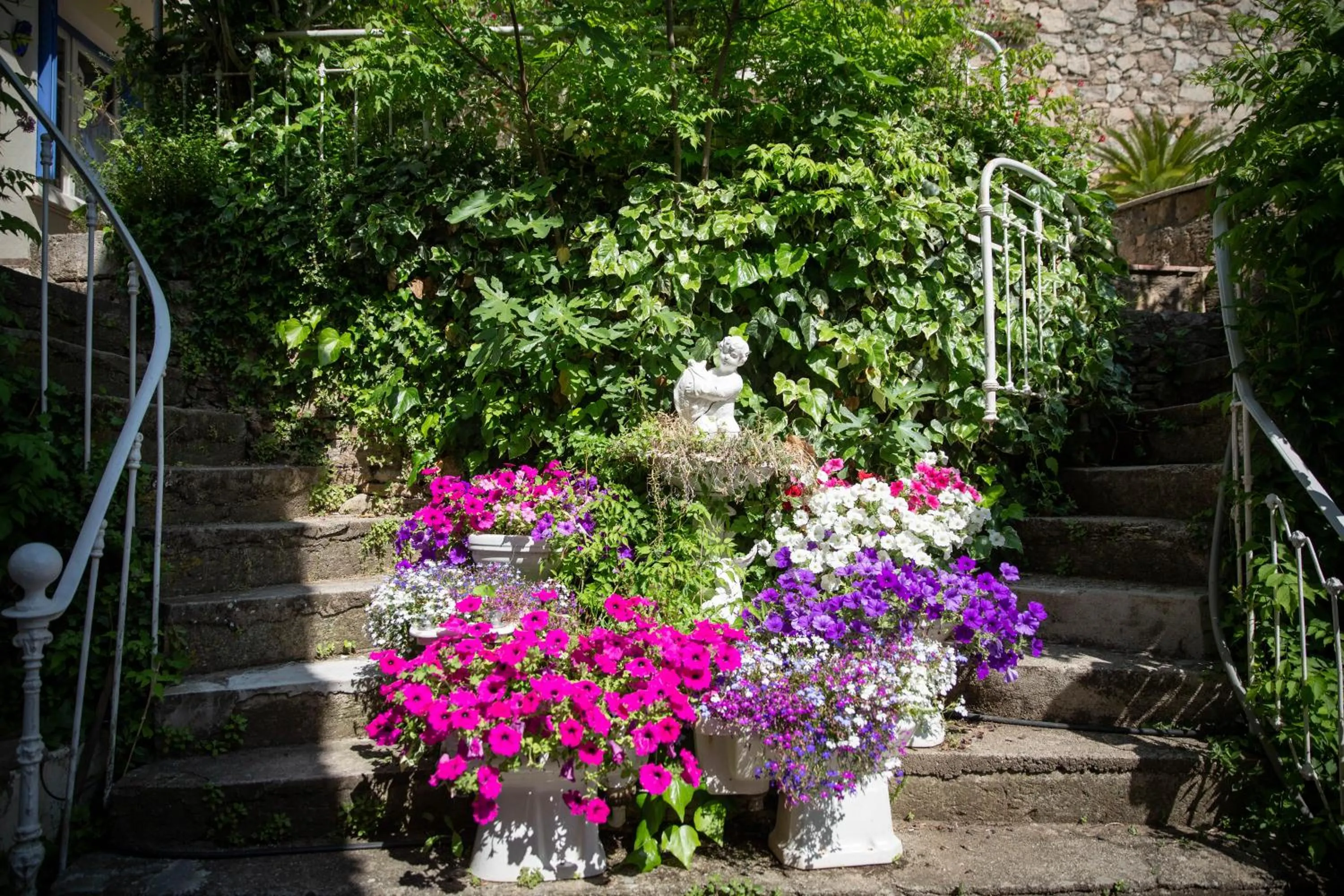 Garden in La Roseraie