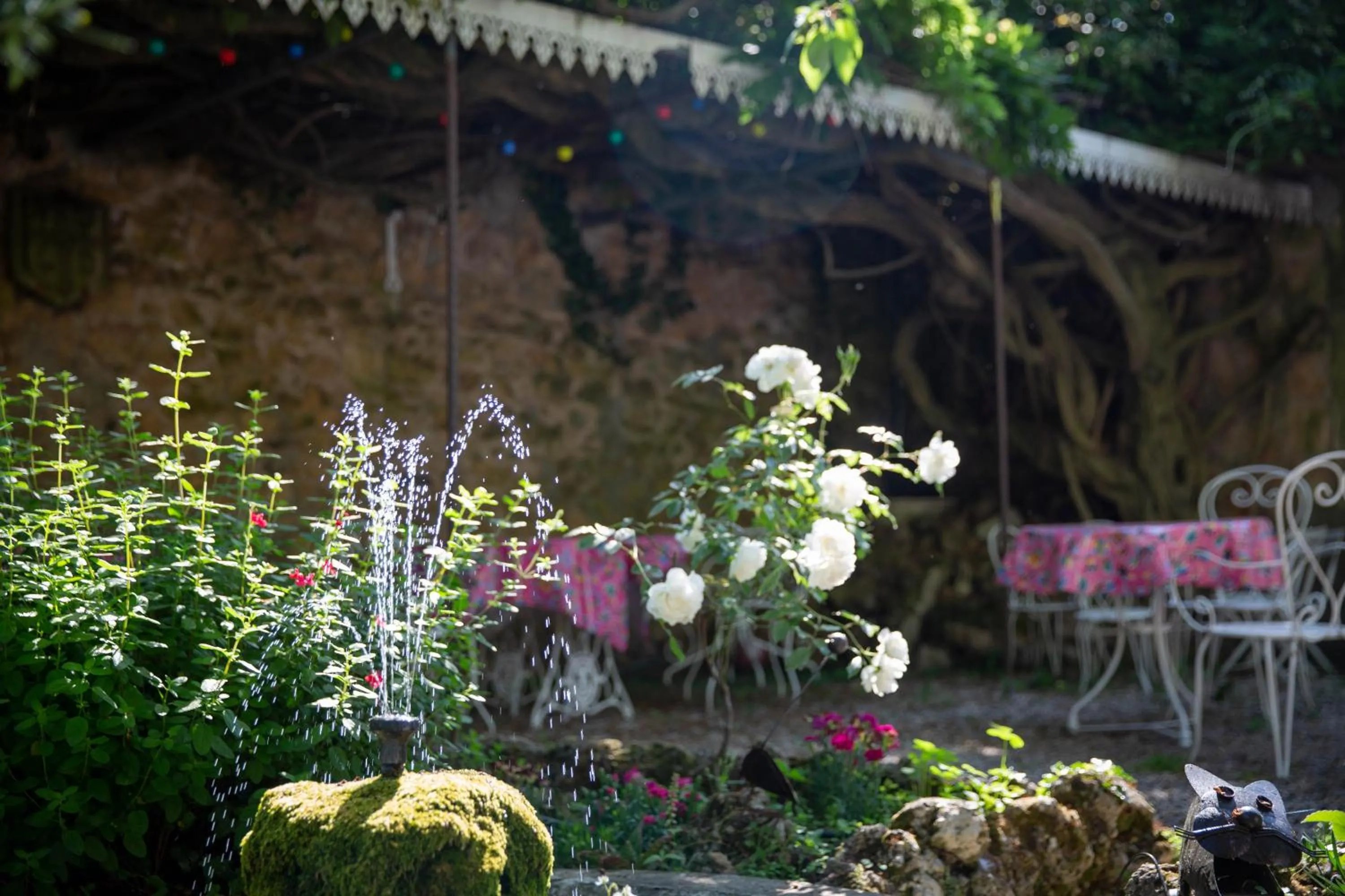 Garden in La Roseraie