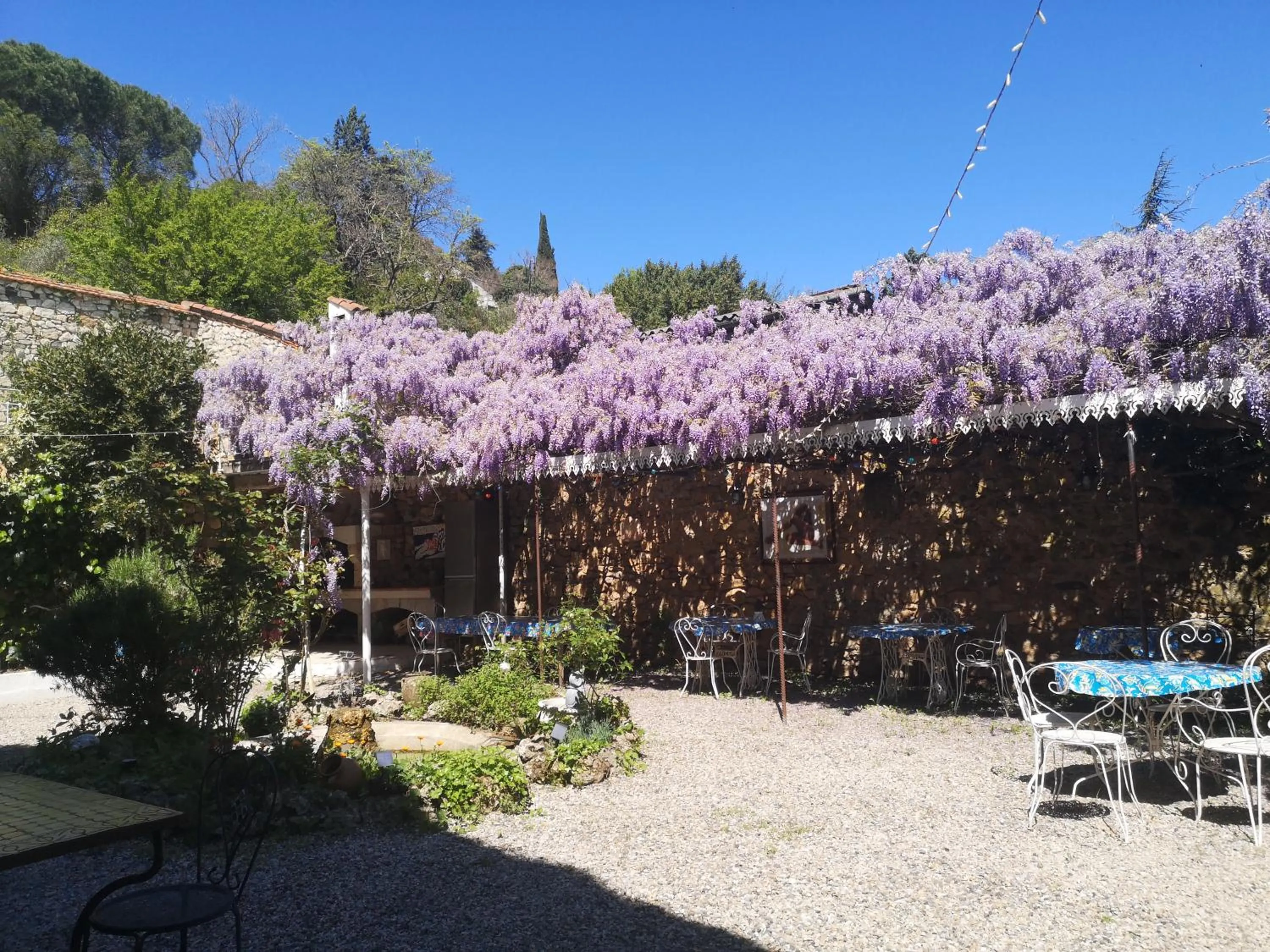 Garden view in La Roseraie